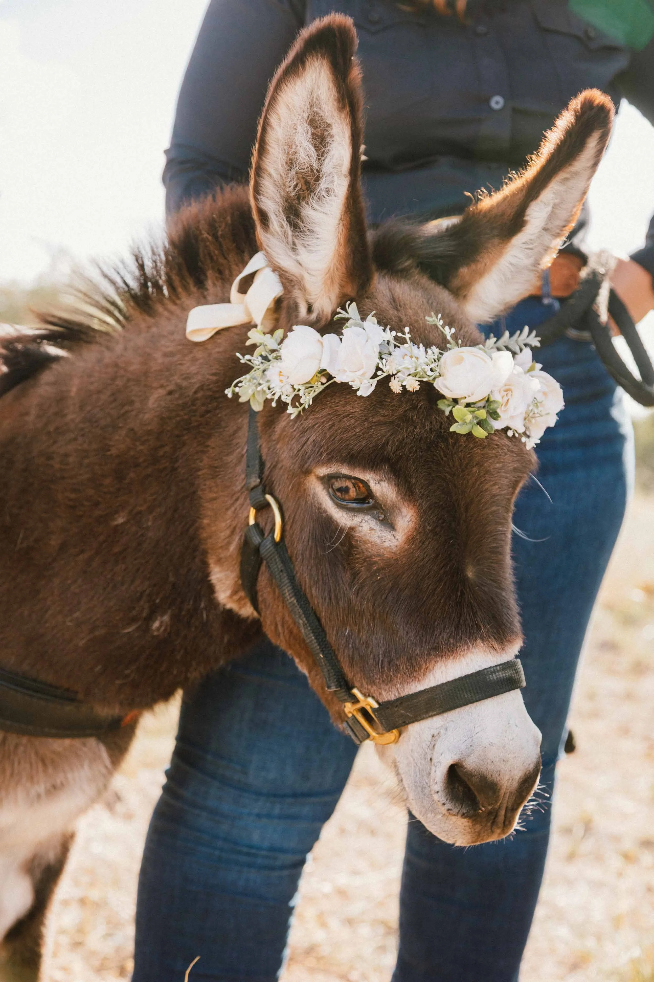 Sonoita Wedding_Jenica Elena Studio-9443.jpg