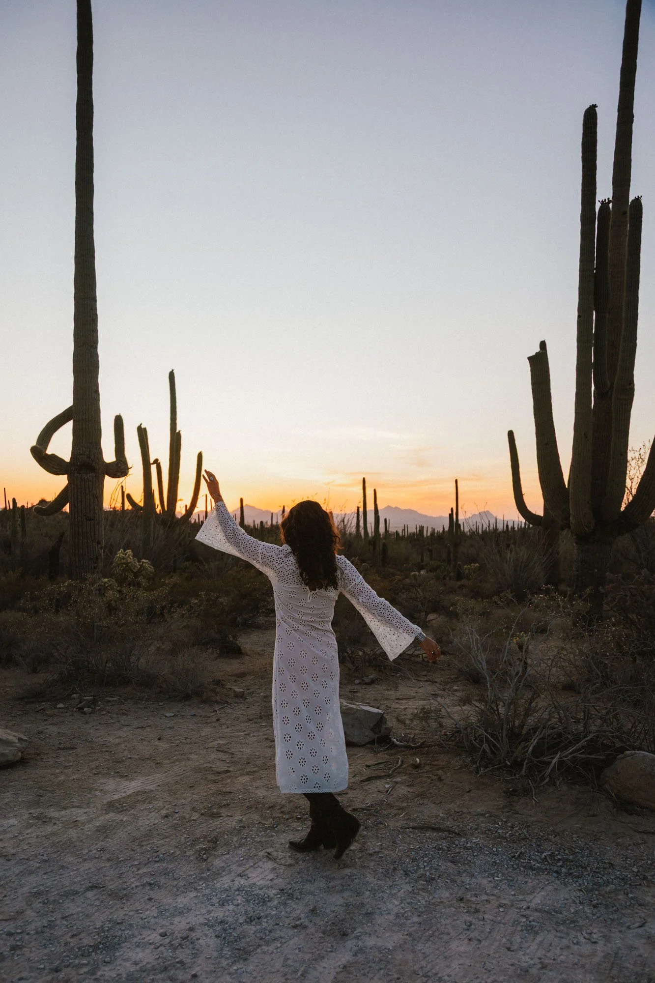 Saguaro National Park Elopement_Jenica Elena Studio-0939.jpg