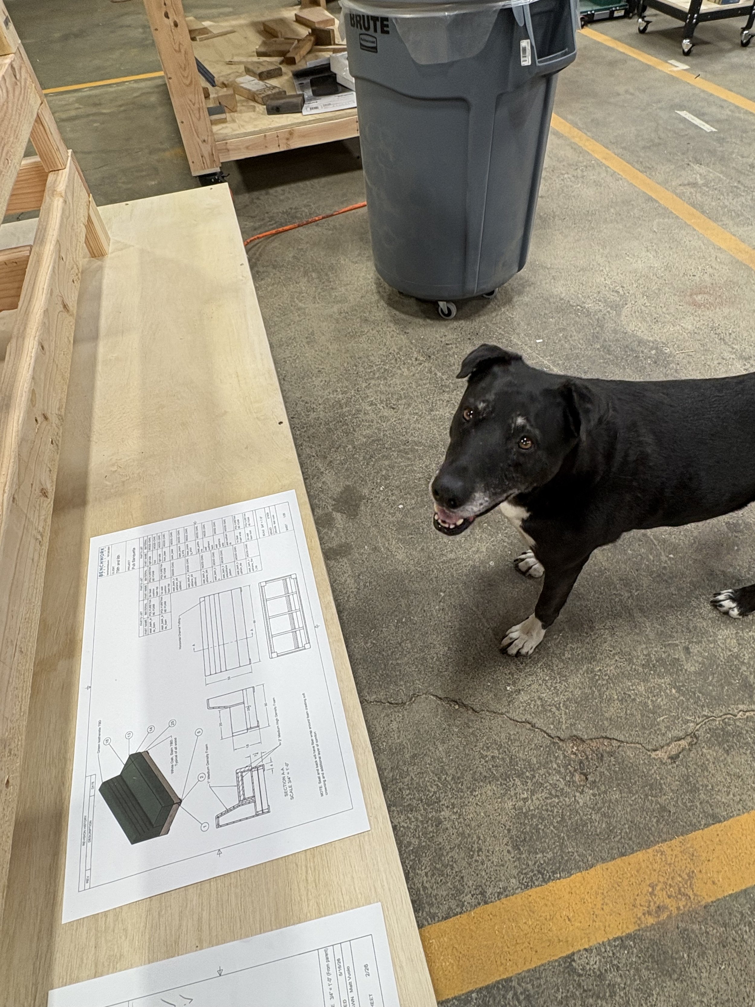 A black and white dog standing on a concrete floor in a warehouse or workshop. There are wooden shelves, a trash bin, and technical blueprints or plans on a wooden table.