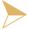 Gold right-pointing arrow icon.