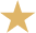 Gold star icon.