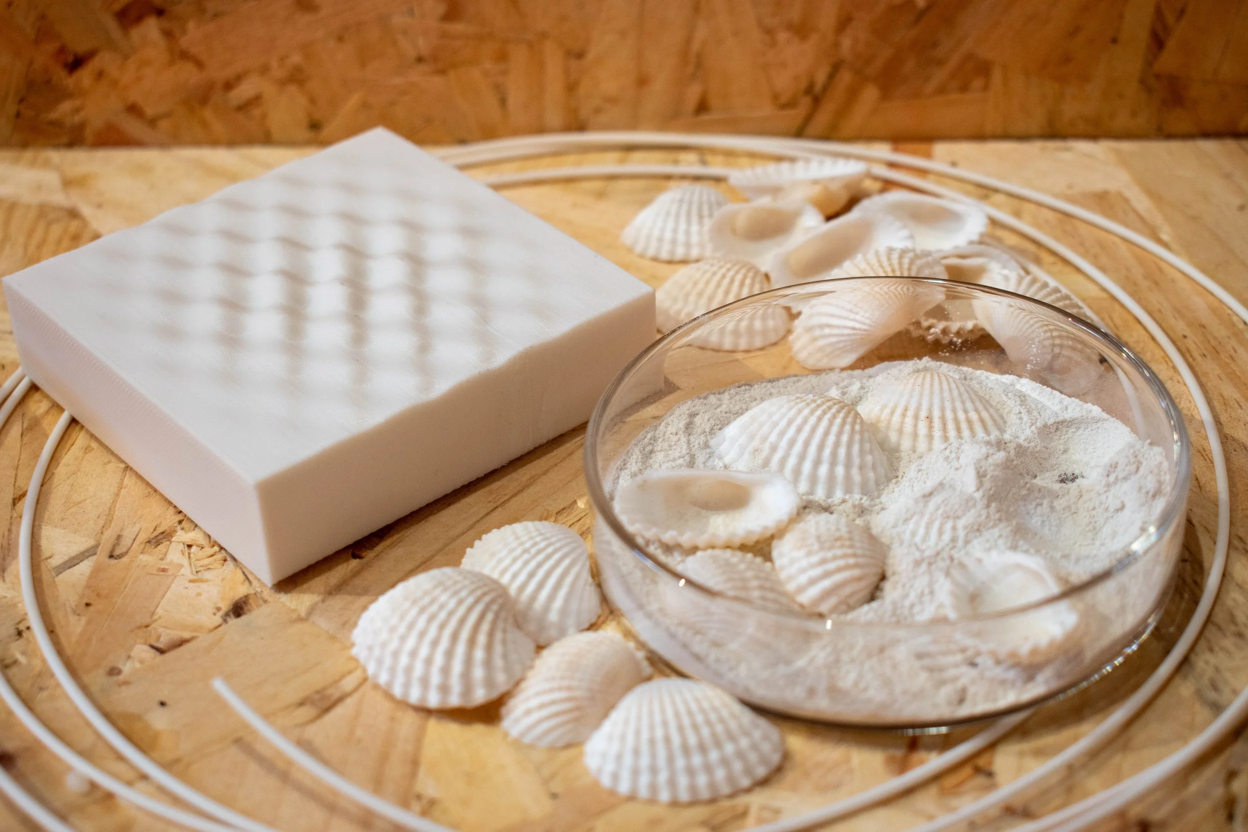Shell White TraceMatter™ filament and a 3D-printed sample displayed with seashells and shell powder.