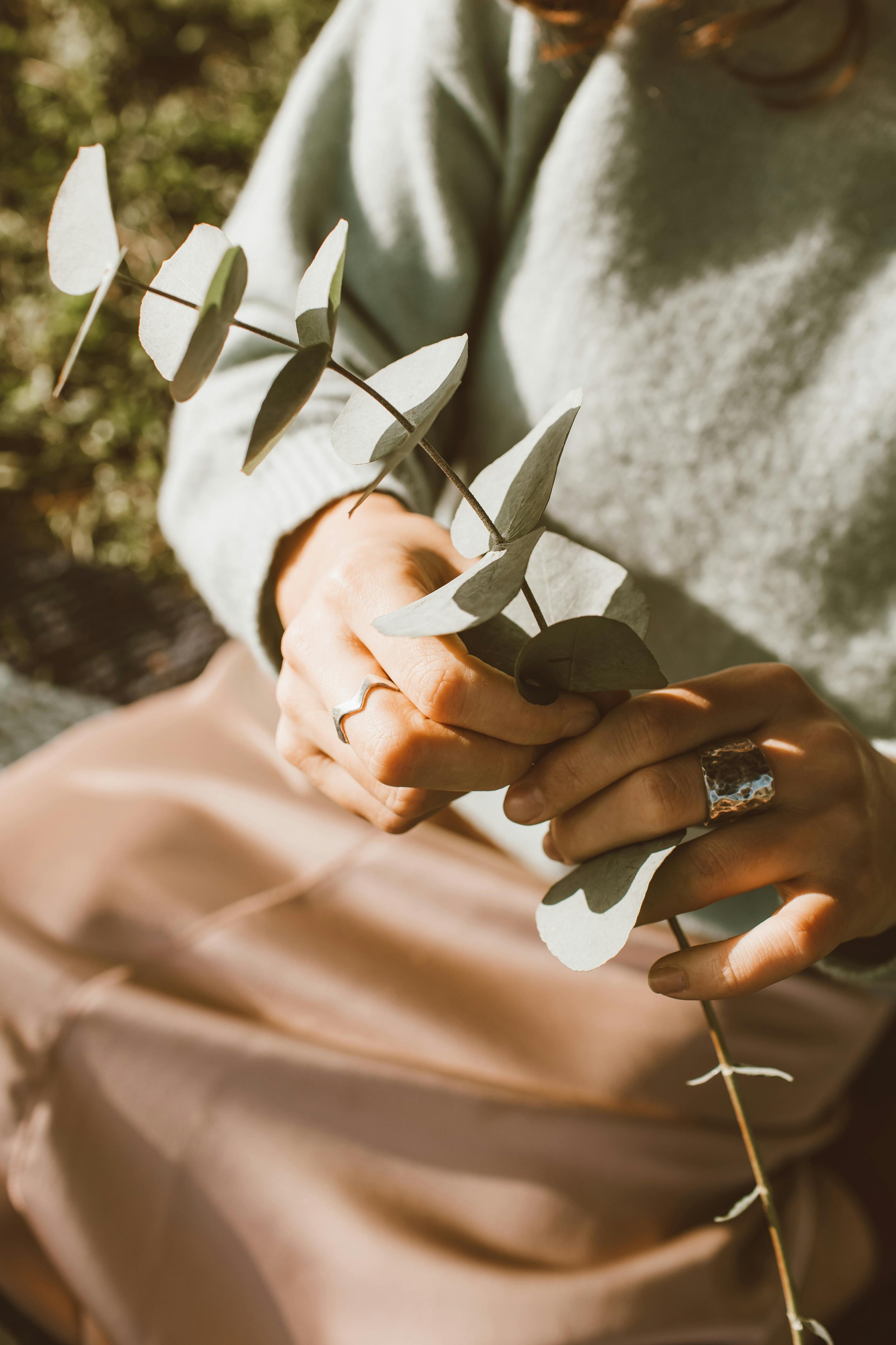 Person holding a eucalyptus branch with pale green leaves in an outdoor setting.