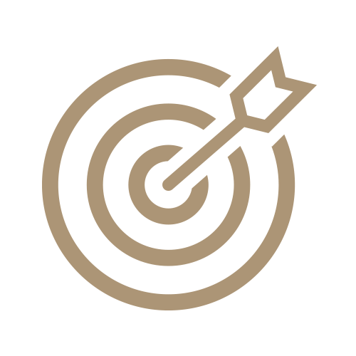 Arrow hitting bullseye icon