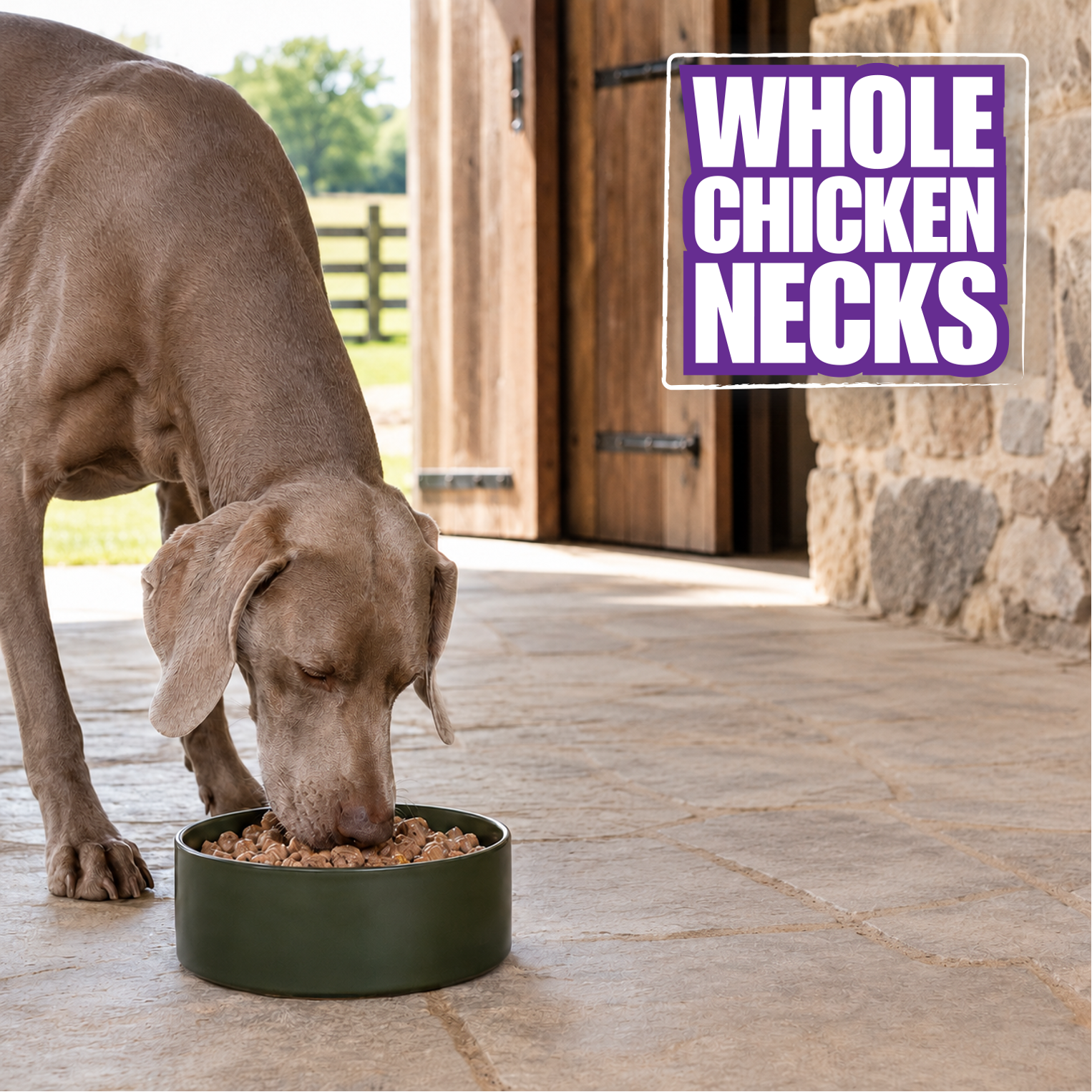 Whole Chicken Necks - 16 lb Case