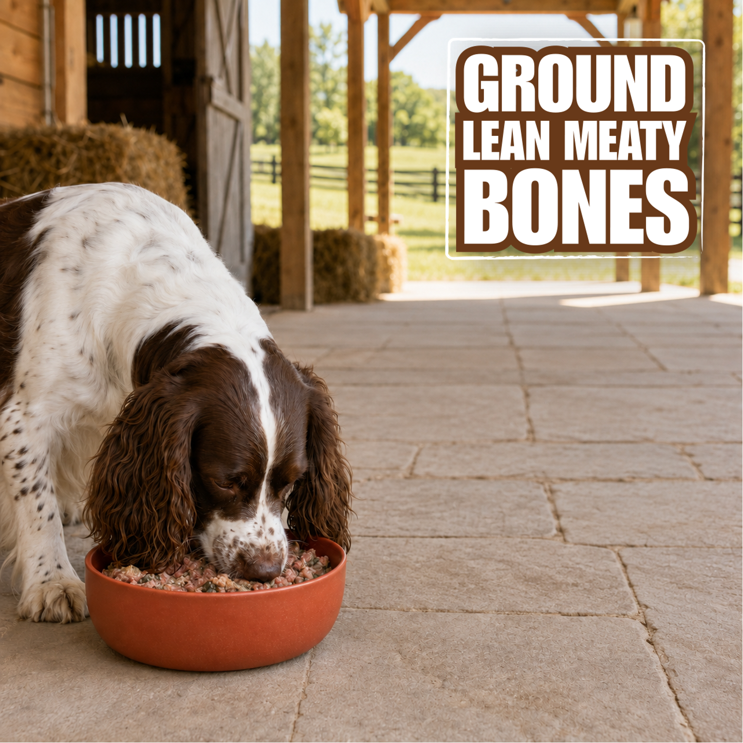 groundmeaty.png