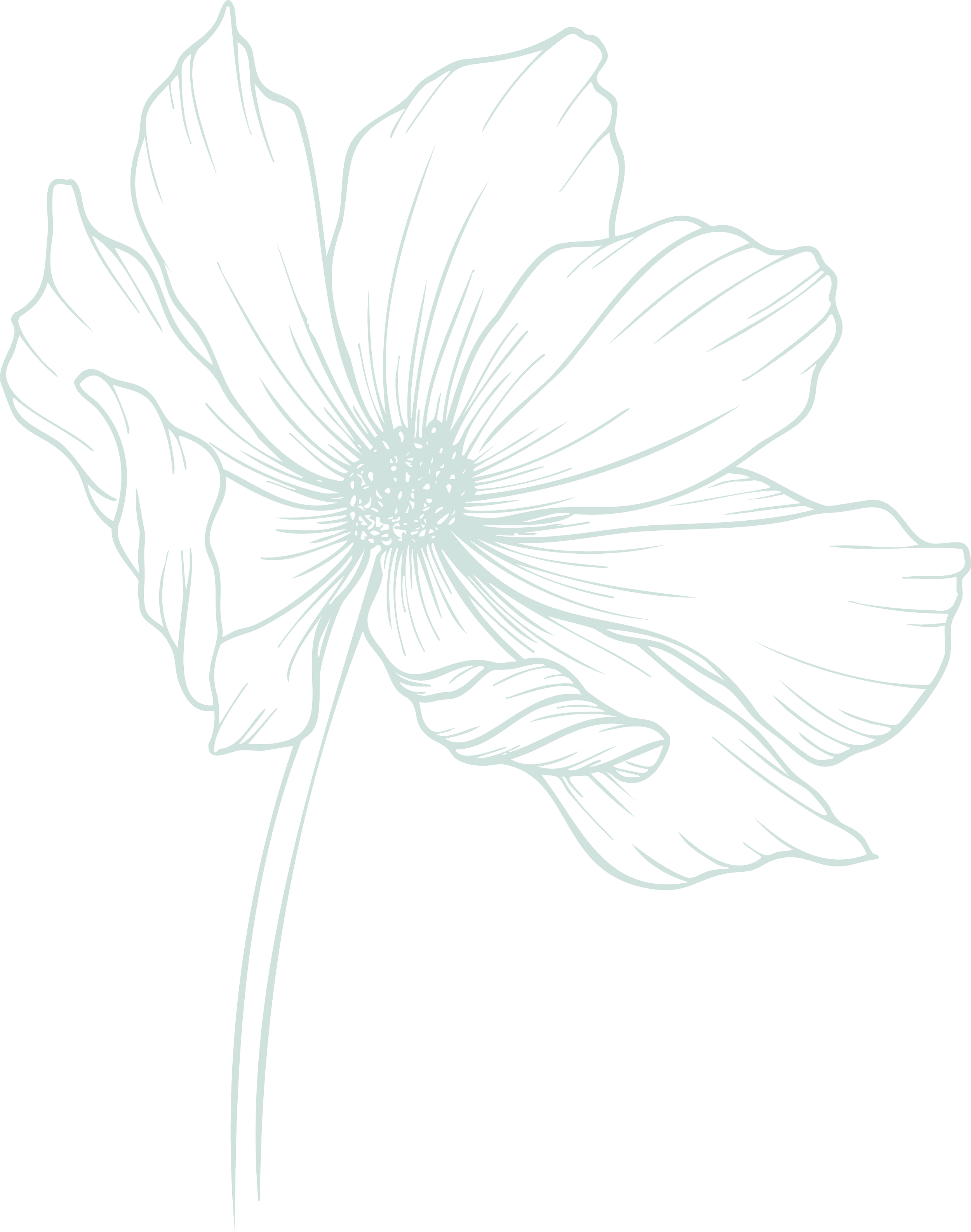 Pale green line drawing of a cosmo flower.