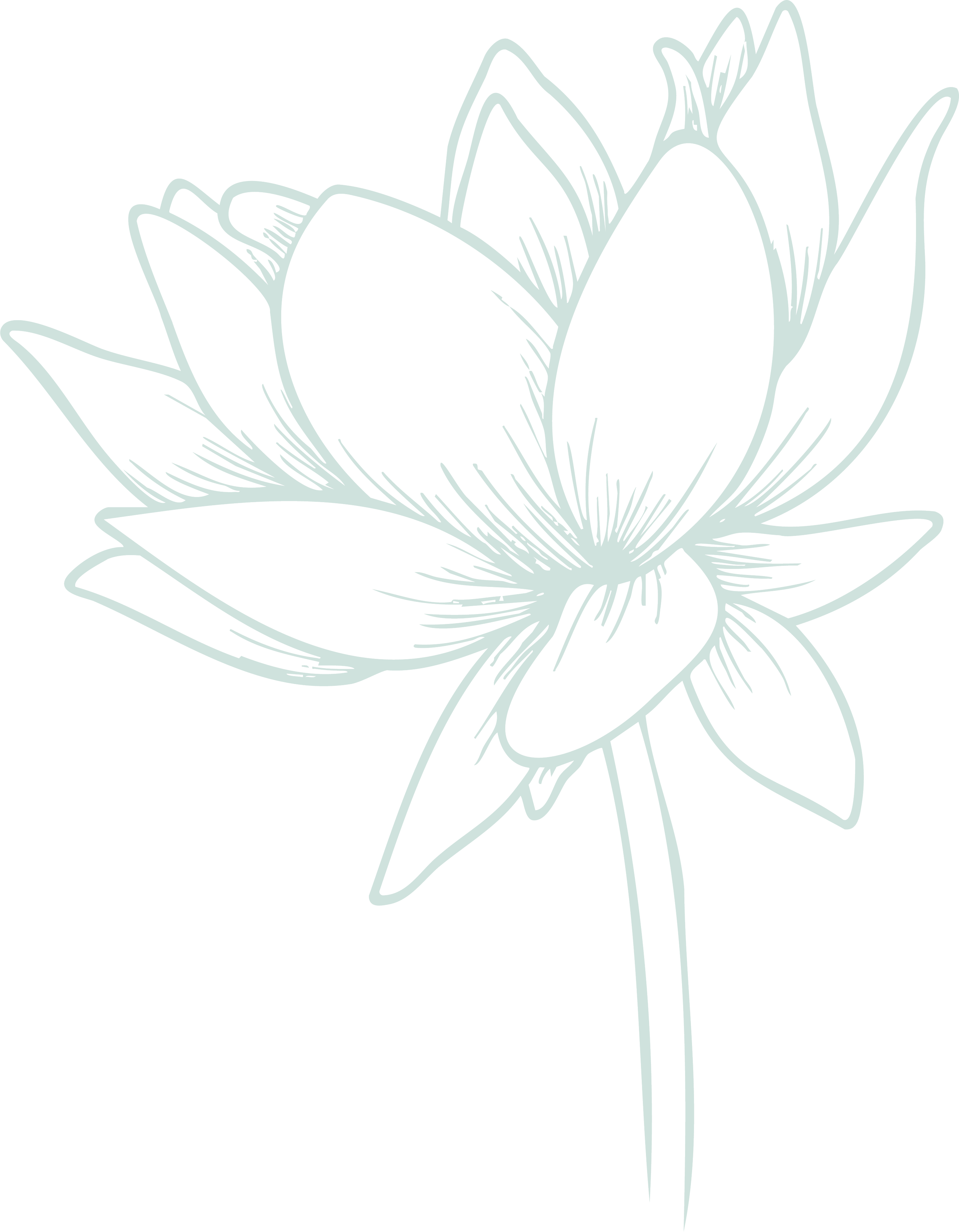 Pale green line drawing of a blooming lotus flower.