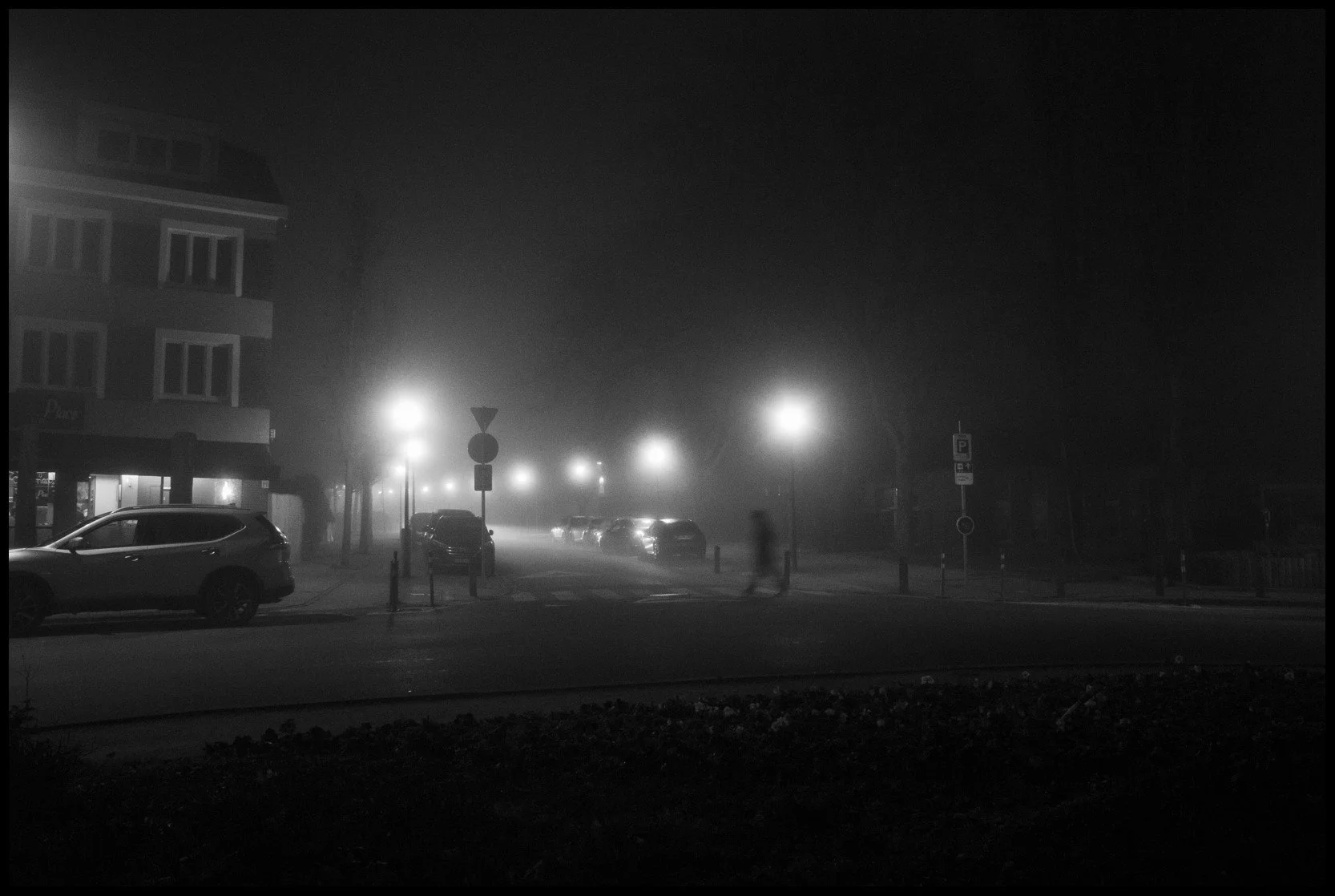 IMG_2457_polarr.jpeg