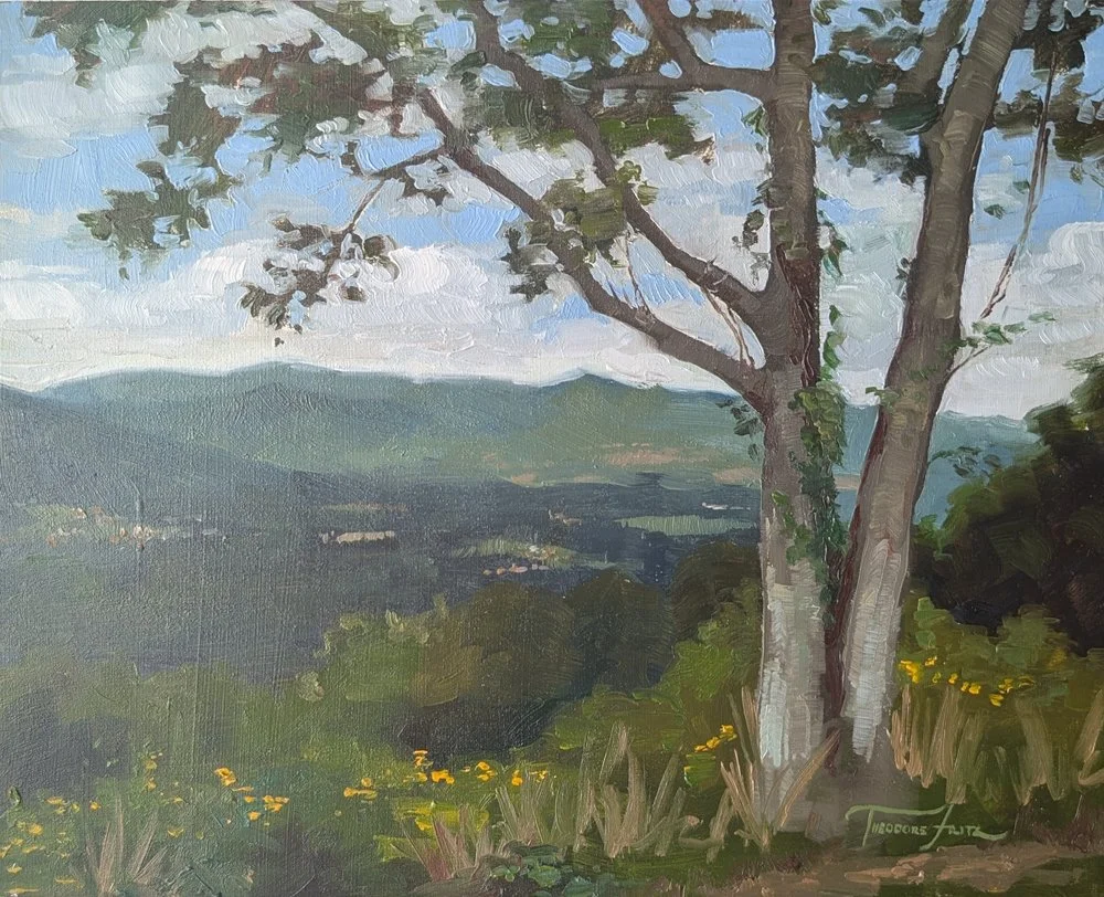 Blue Mountain Overlook - 9x12"