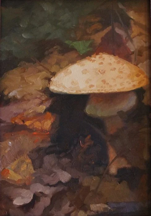 forestfloor.jpg