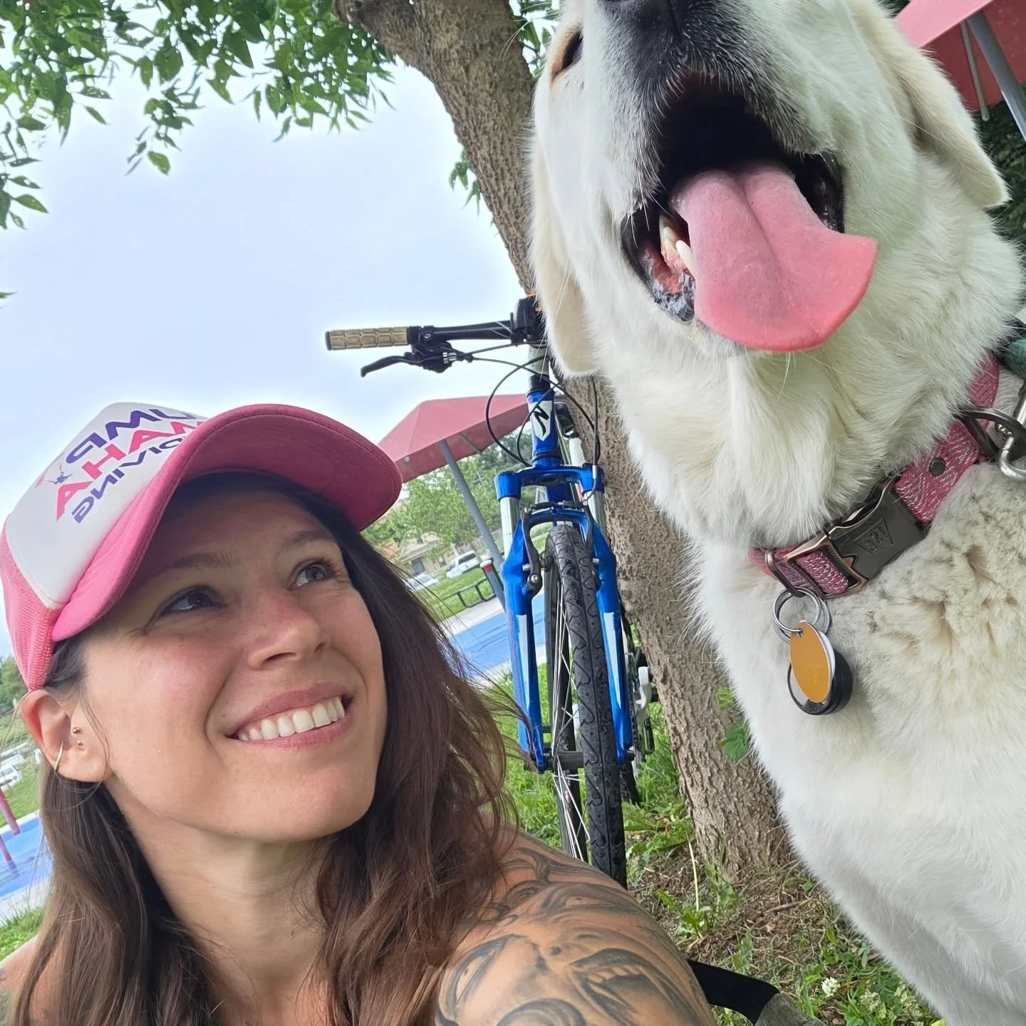 A woman smiling while taking a selfie with a large white dog that is panting with its tongue out. The woman is wearing a pink and white baseball cap. There are trees, a bicycle, and park table and chairs in the background.