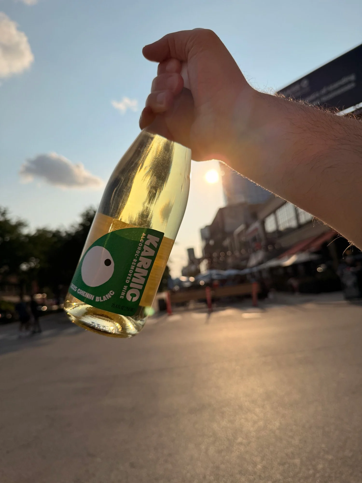 karmic wine-bottle street-west loop.jpg