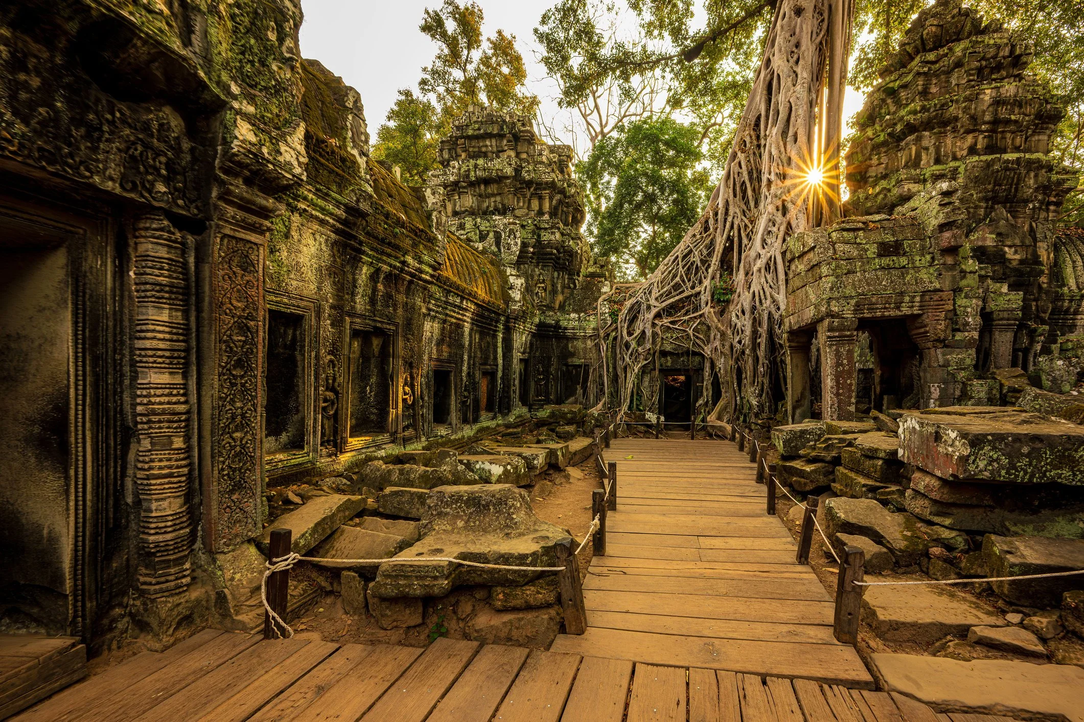 Ancient stone temple ruins overgrown with trees, covered in moss, with intricate carvings on the walls, and a wooden pathway through the site, with the sun shining through the trees.