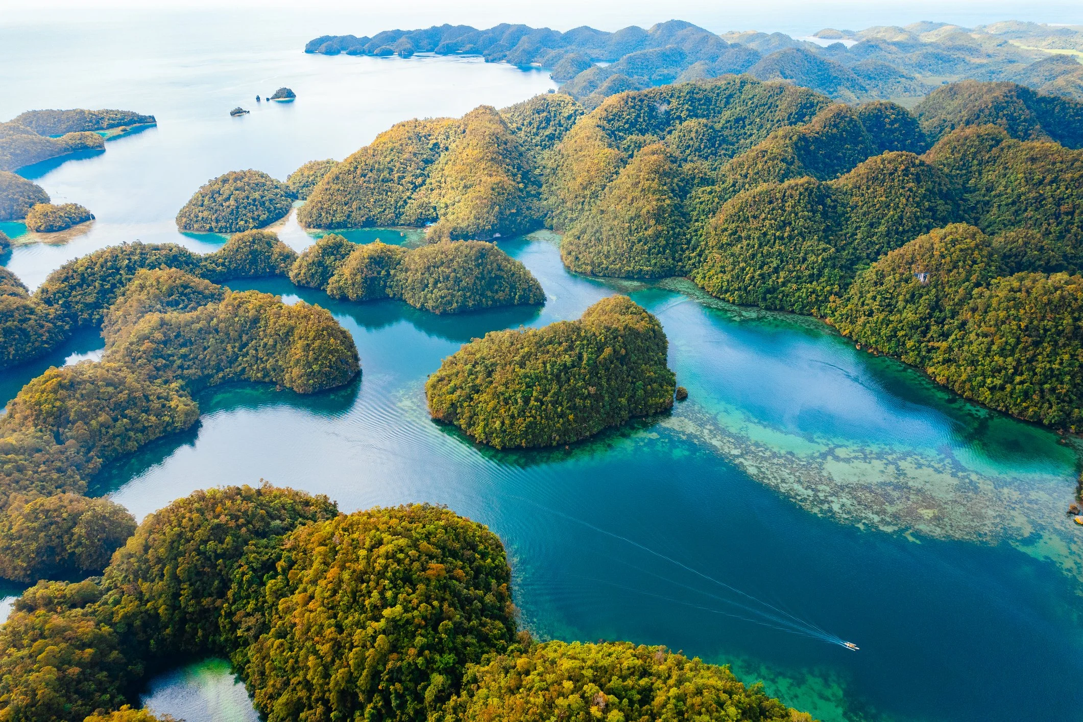Aerial view of numerous green forested islands in a body of water, with mountains in the background and a boat speeding across the water.