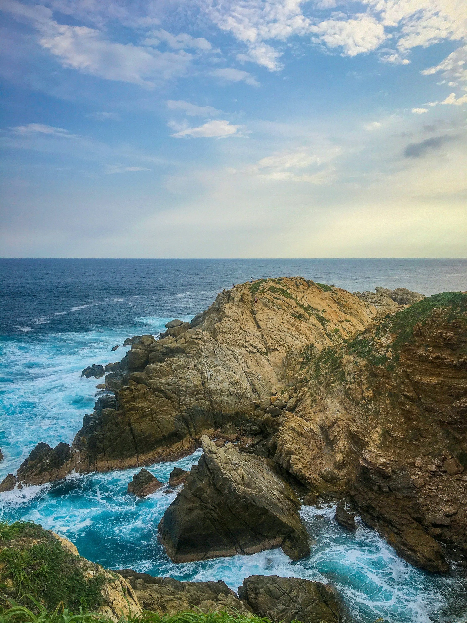 Costa rocosa junto al mar con oleaje, cielo con nubes, y vegetación en primer plano.