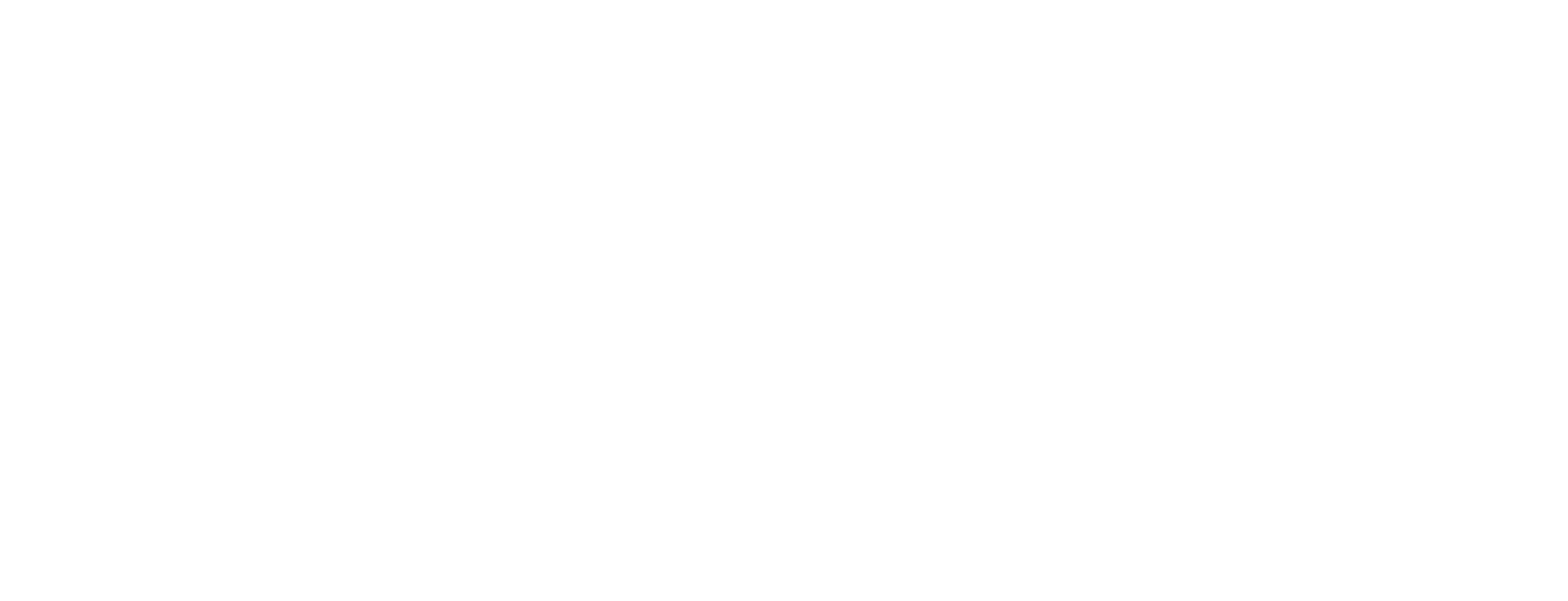 Logotipo en blanco y negro con el texto 'PUMI Wellness' y un diseño de hoja dentro de la letra 'P'.