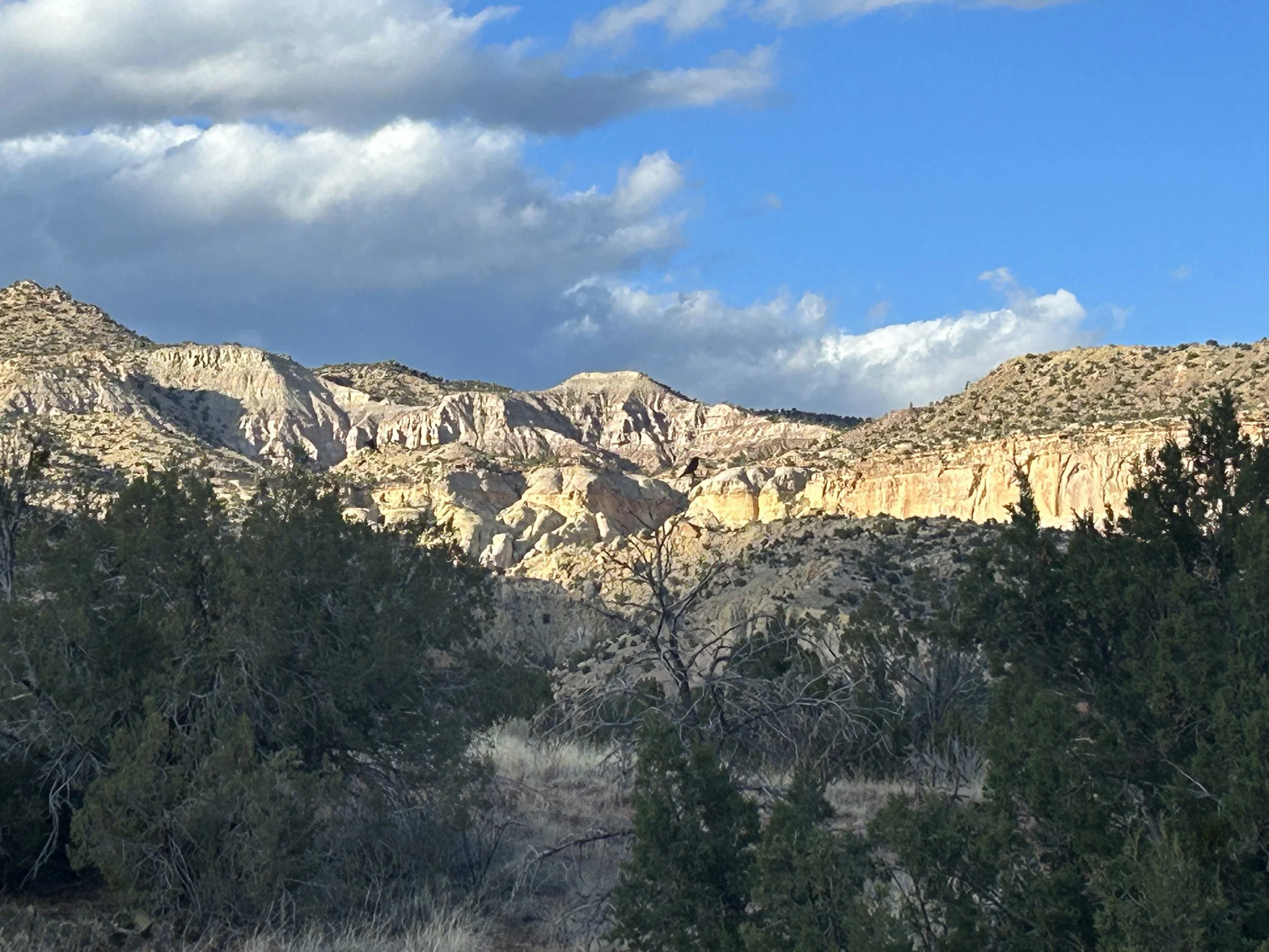 nm landscape.jpg