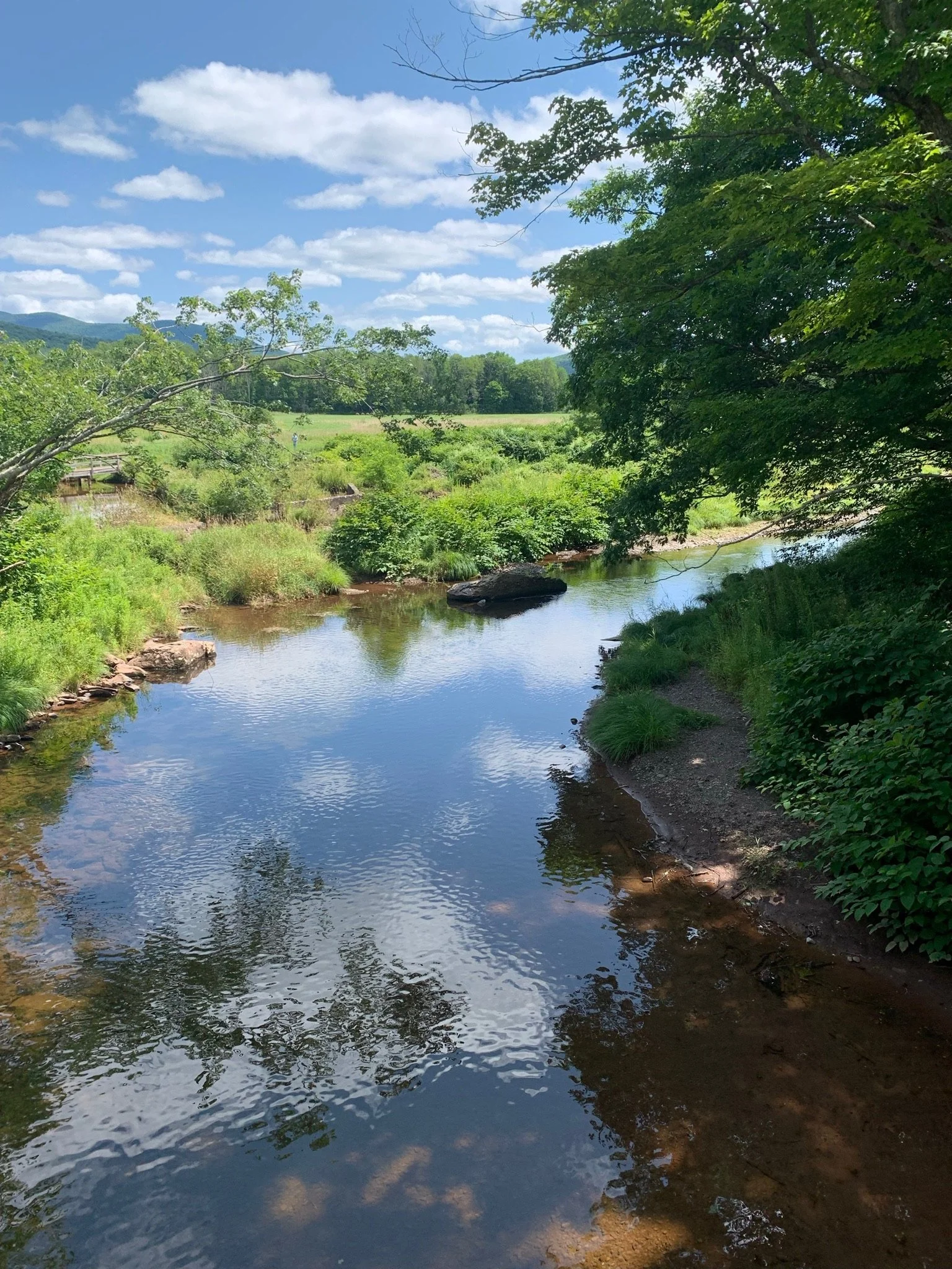 ny river.jpg