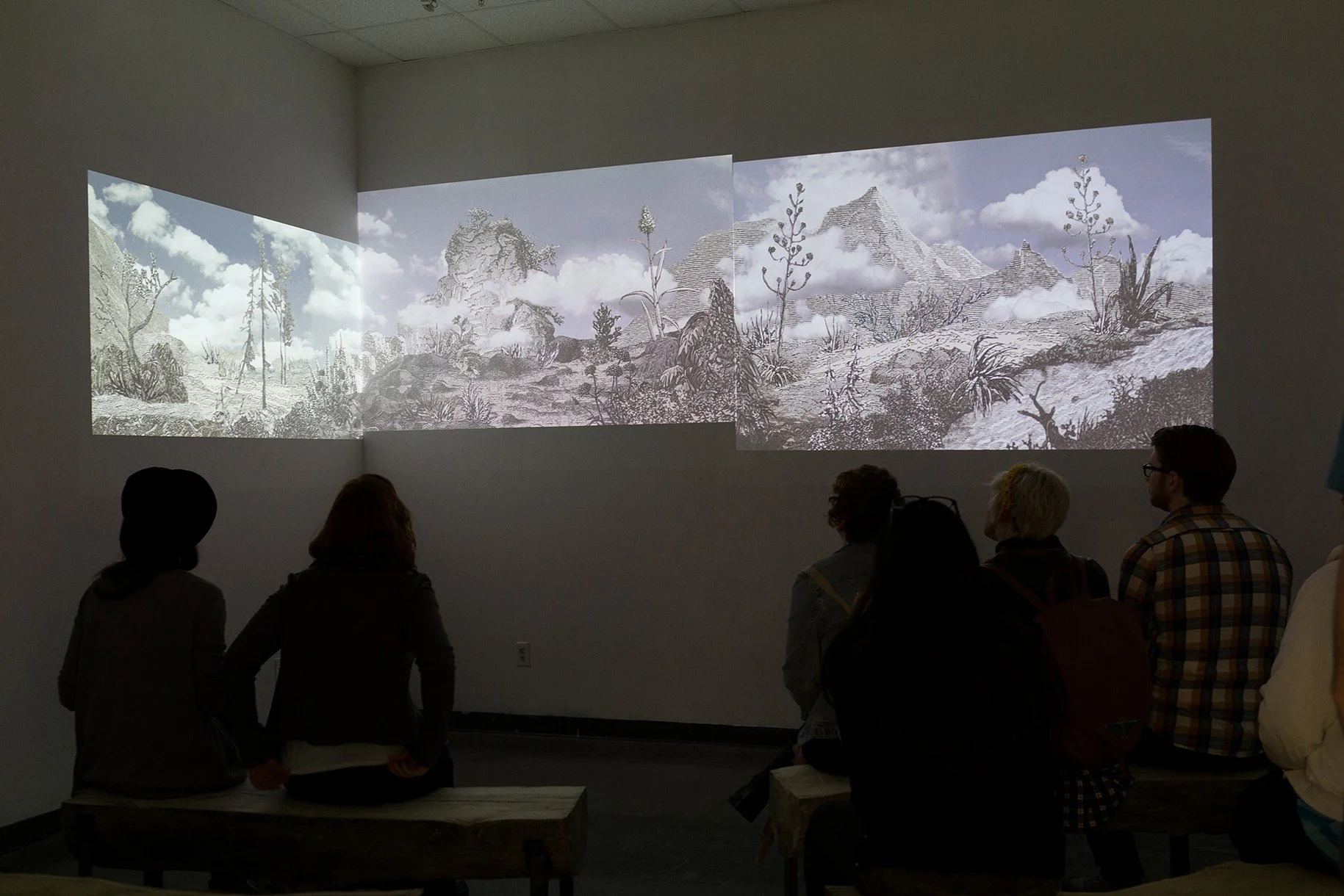 Installation view. Photo by Josh McDevitt.