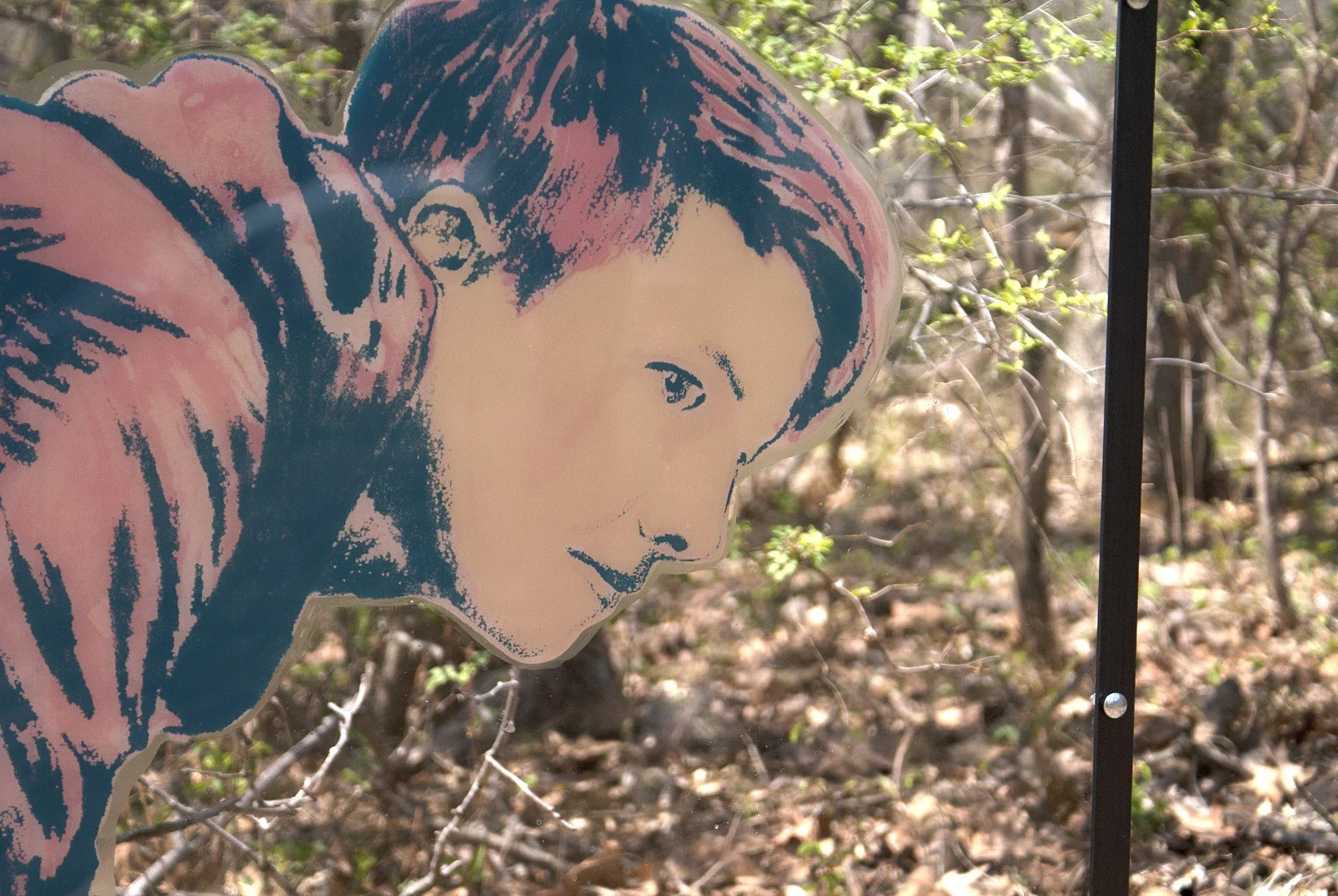 Macbride Raptor Project installation, Solon, IA. Screenprint on plexi, dimensions variable, 2014.