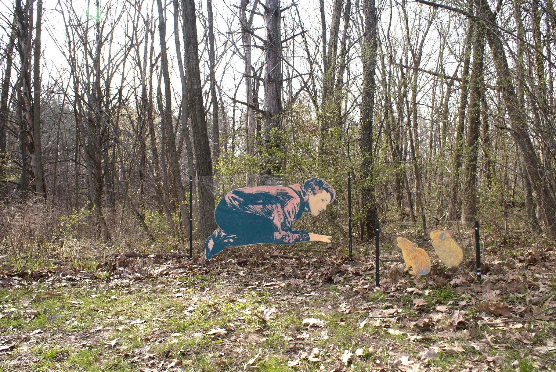 Macbride Raptor Project installation, Solon, IA. Screenprint on plexi, dimensions variable, 2014.