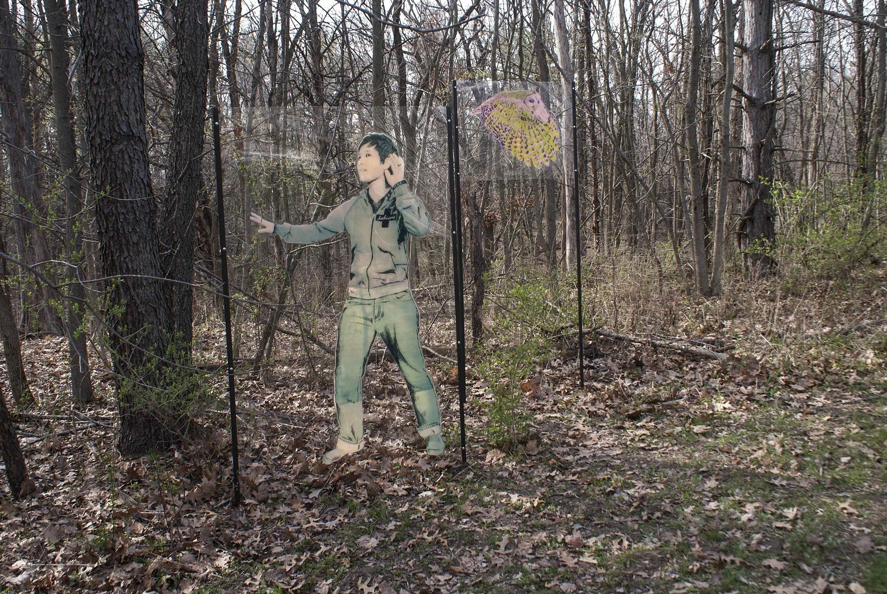 Macbride Raptor Project installation, Solon, IA. Screenprint on plexi, dimensions variable, 2014.