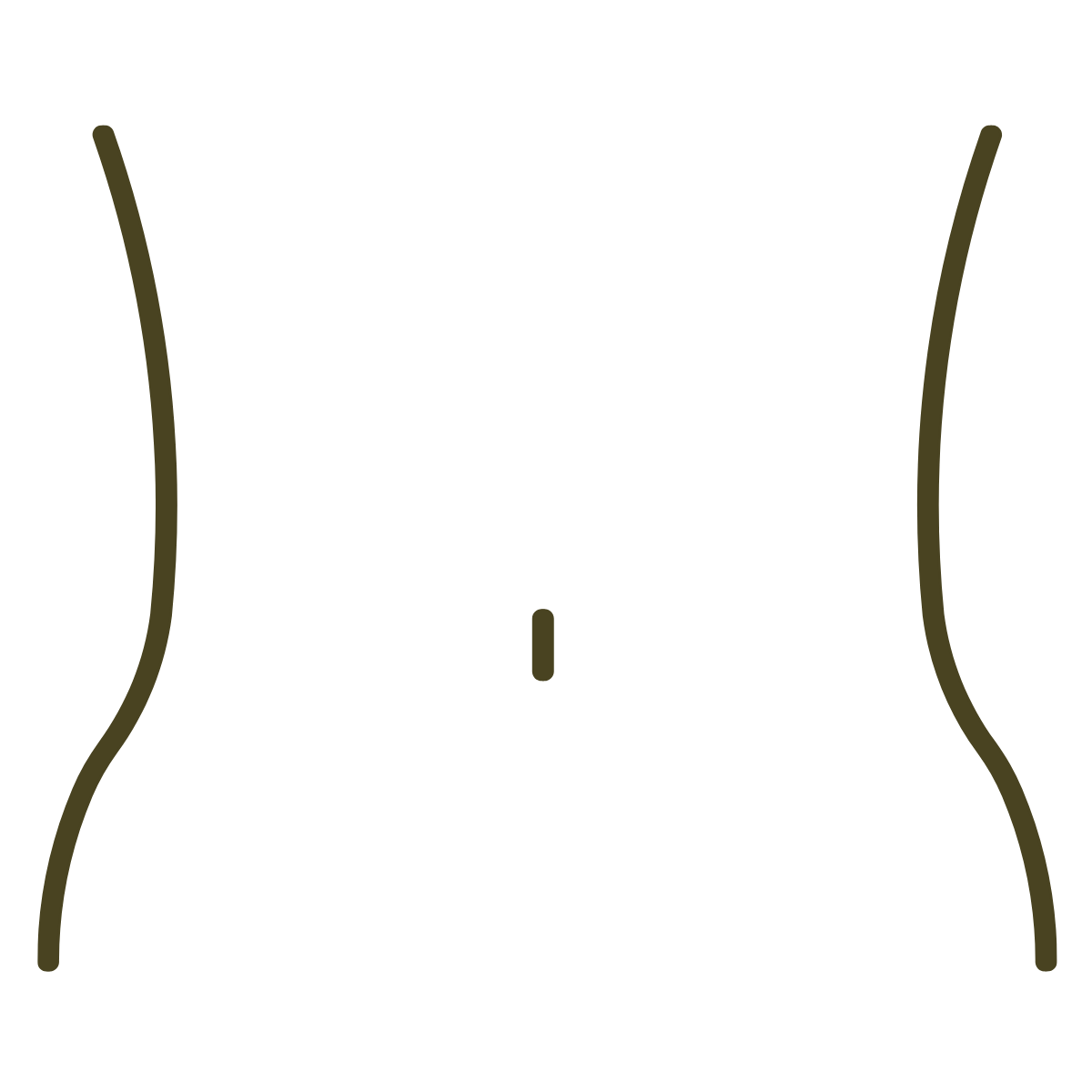 Outline of a woman's torso wearing a bra and underwear, focusing on the chest, waist, and hips.