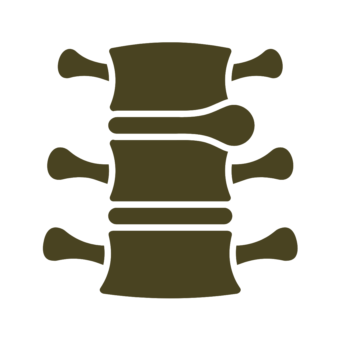 Illustration of a spinal column with vertebrae and spinal nerves.