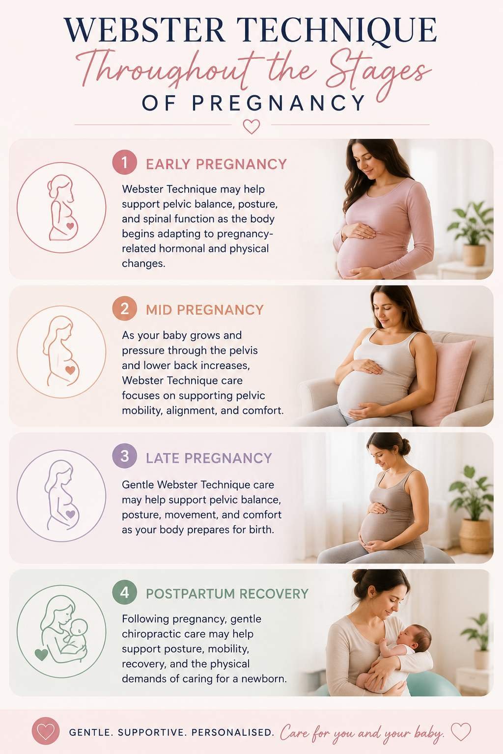 Infographic titled "Webster Technique Throughout the Stages of Pregnancy" showing four stages: early pregnancy, mid pregnancy, late pregnancy, and postpartum recovery, with descriptions and images of pregnant women at each stage.