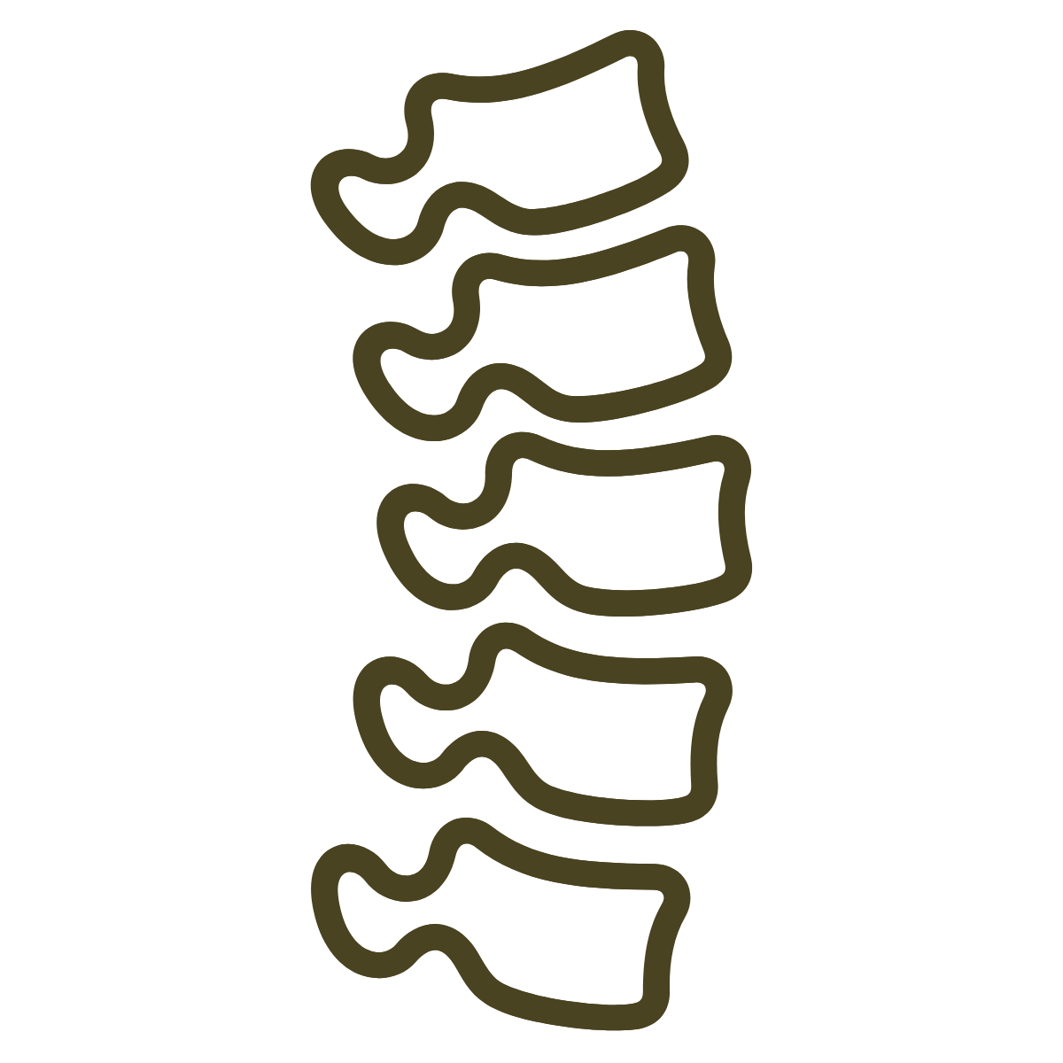 Line drawing of a human spine with vertebrae stacked vertically.