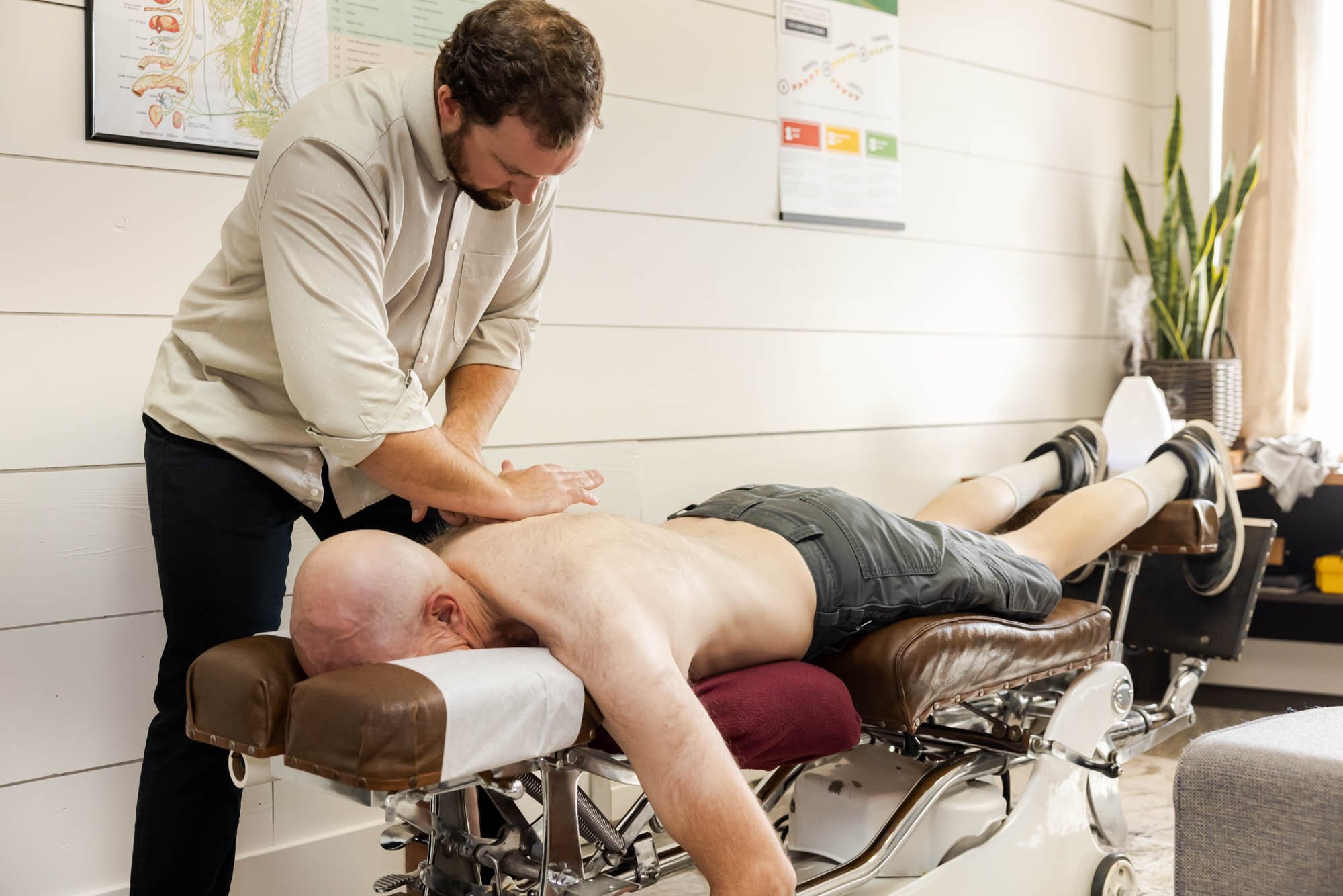 A chiropractor is adjusting a middle-aged man's back on a hydraulic table in a clinical setting with anatomical posters on the wall.