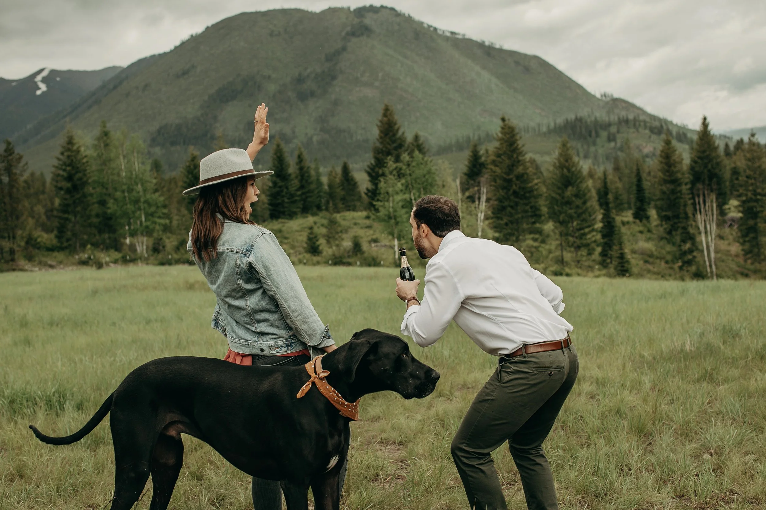 grand opening chiropractor whitefish