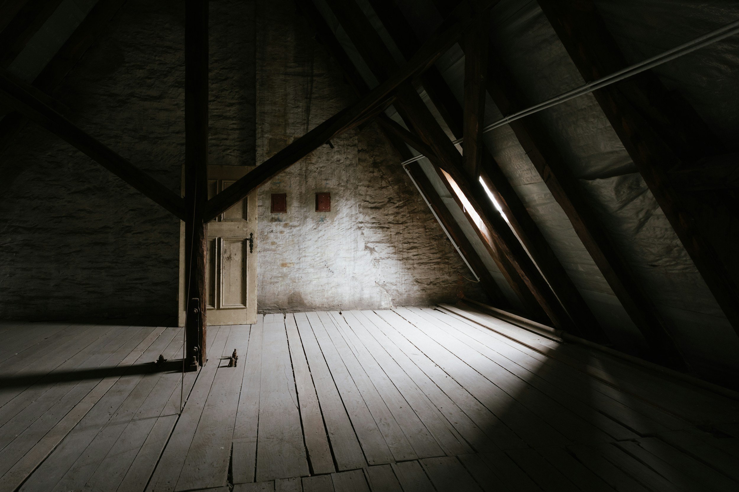 Dark attic with sloped ceiling, exposed wooden beams, a closed door, and a wooden floor.