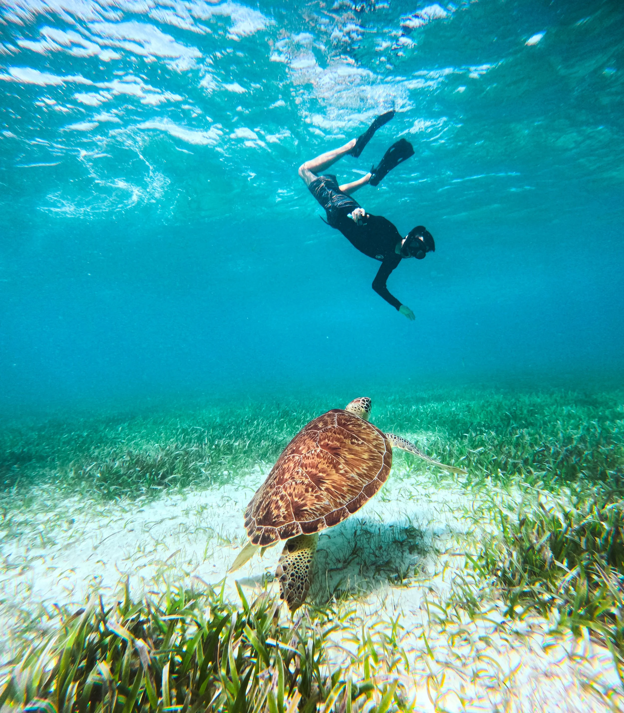 Snorkeling Tour to the Reef