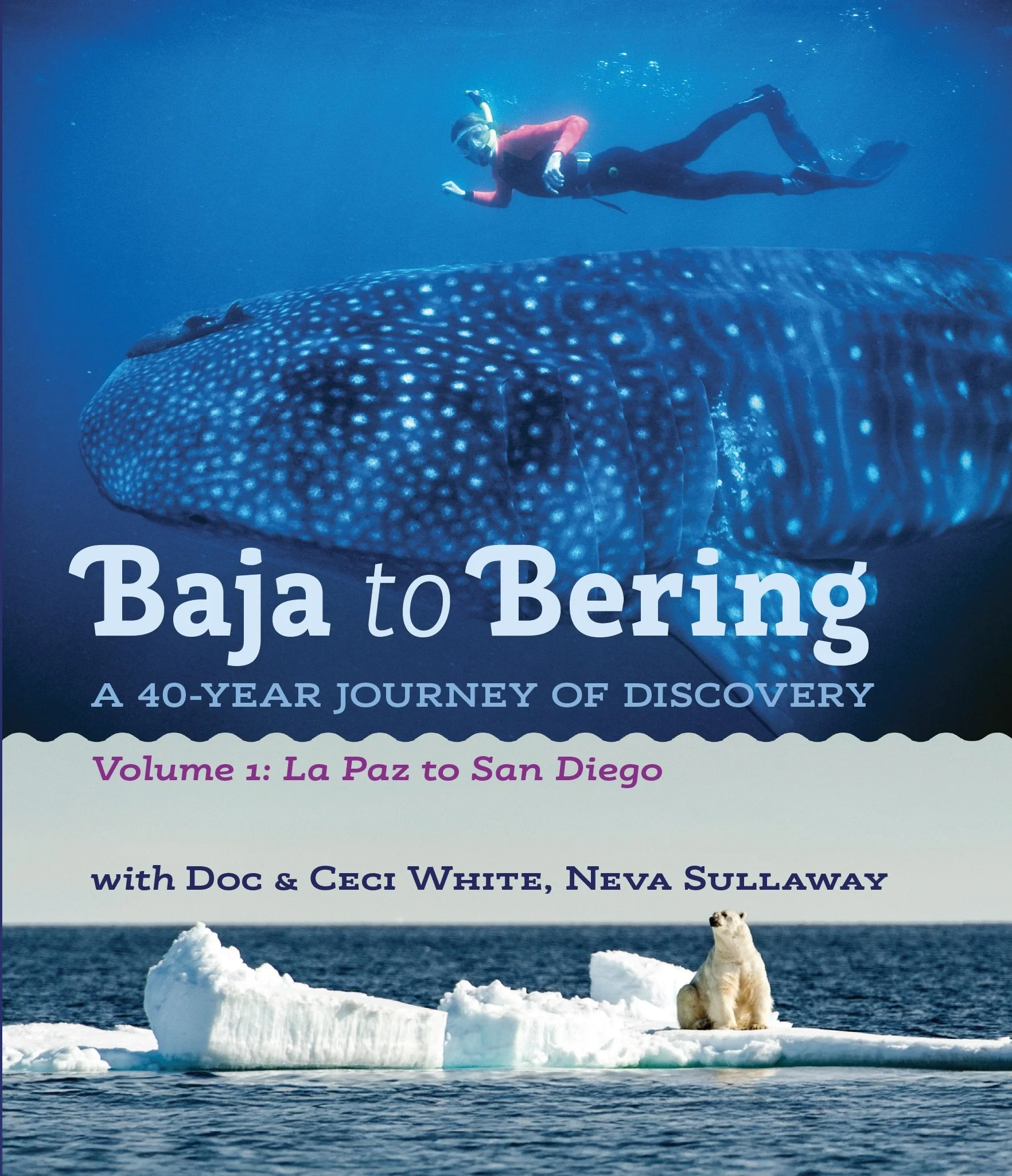 Baja2Bering Cover.jpeg