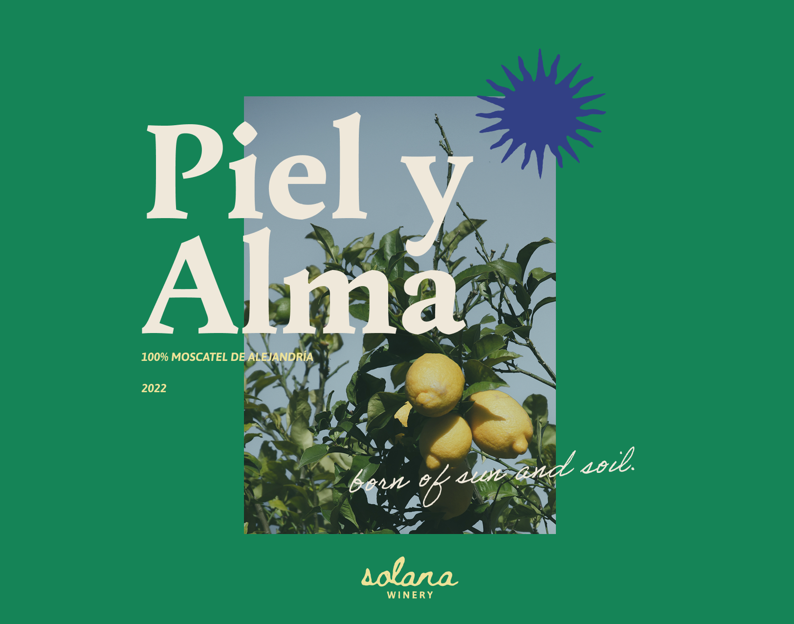 SOLANA- WINE BOTTLE.png