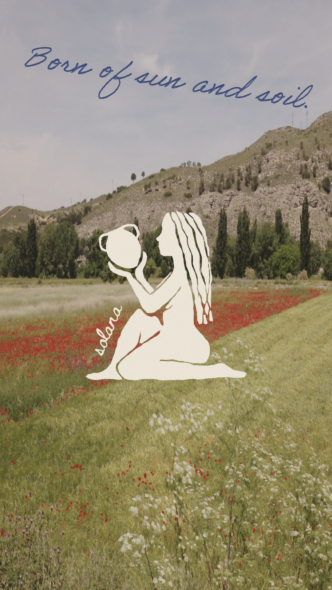 solana - post 1 img 5.png