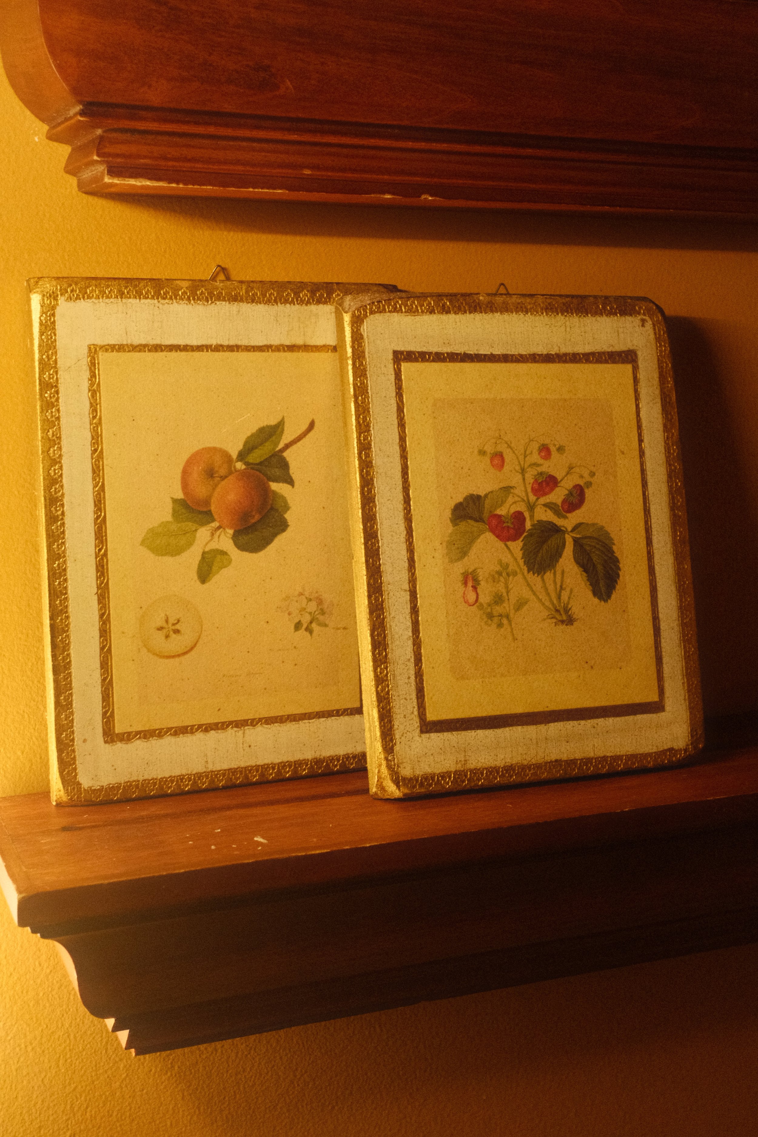 Florentine Fruit Paintings