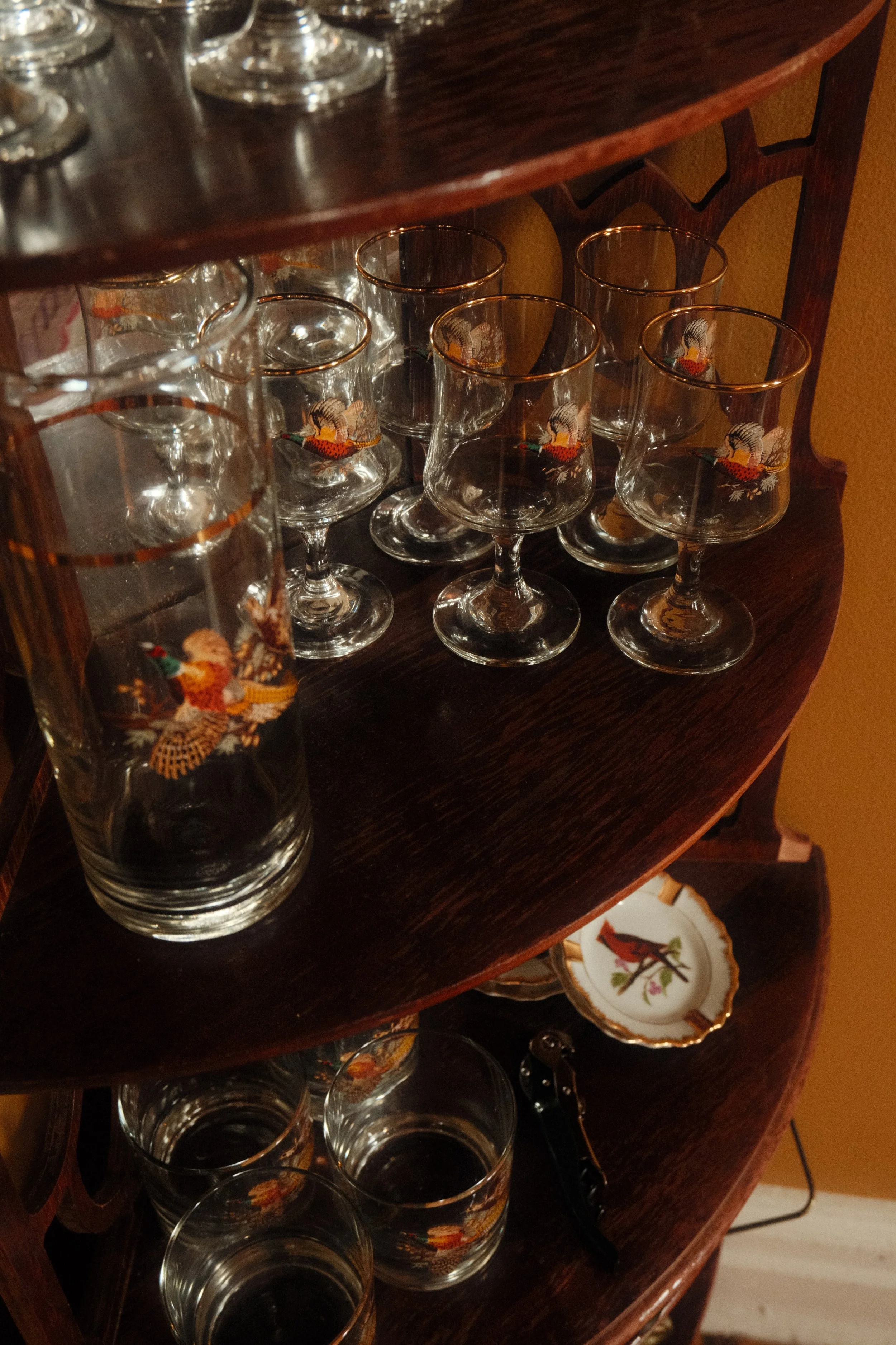 Clear whiskey glasses with gold rims, decorated with images of colorful hummingbirds, arranged on a dark wooden shelf.