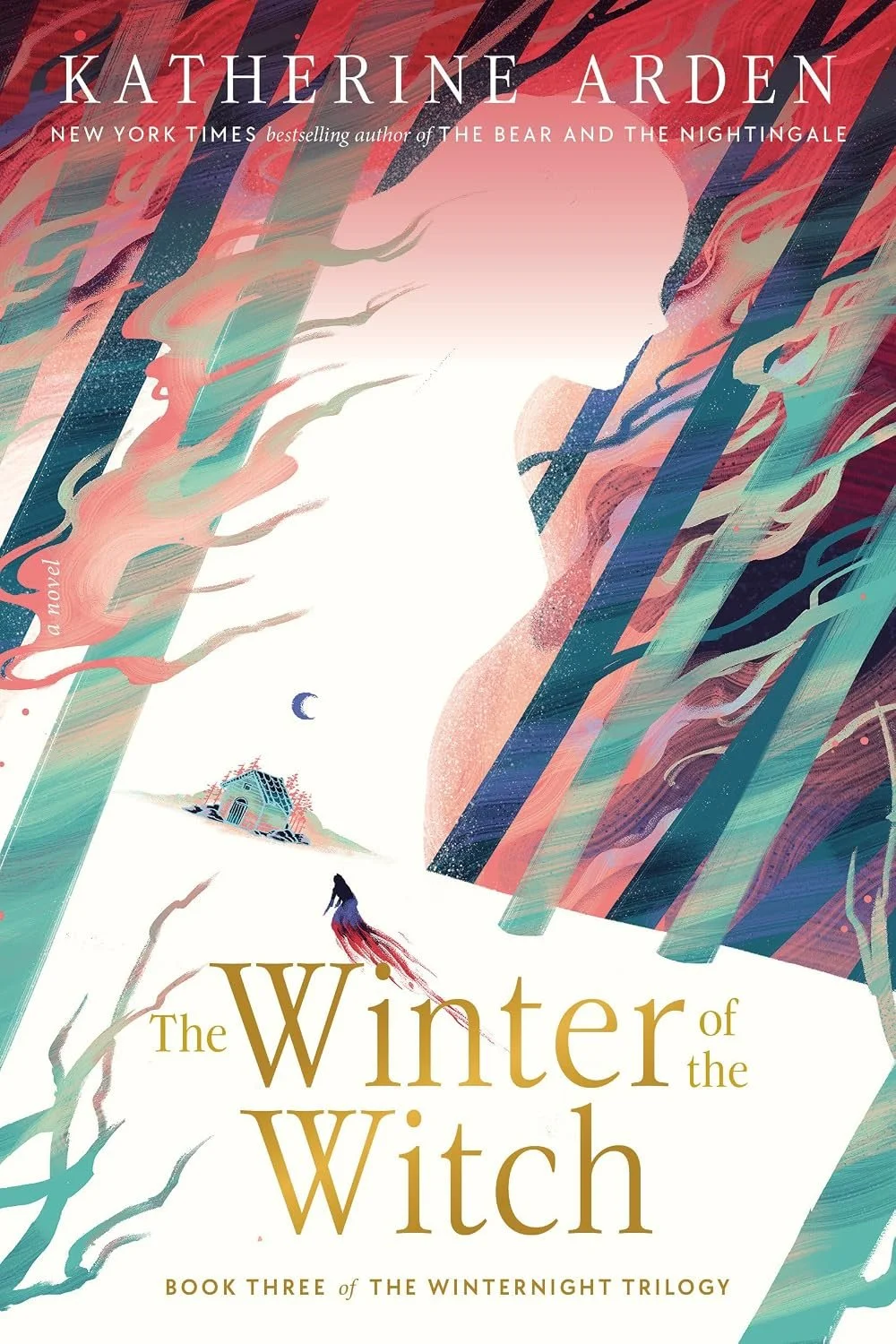 The Winter of the Witch book cover