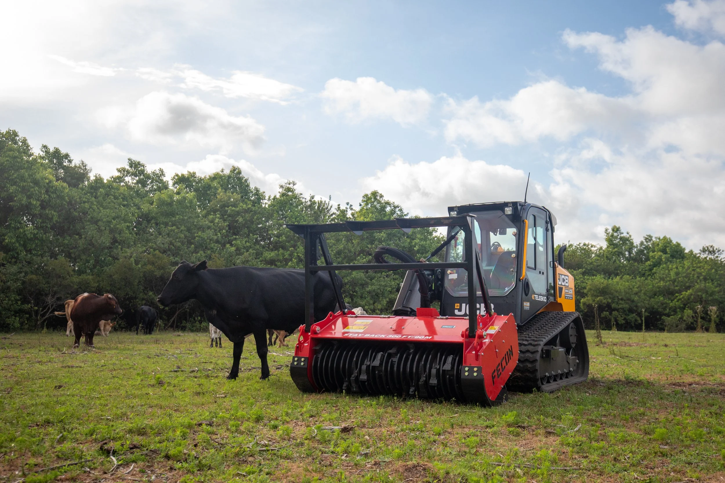 A black and orange tractor on a grassy field with cows grazing nearby, trees in the background, and a partly cloudy sky.