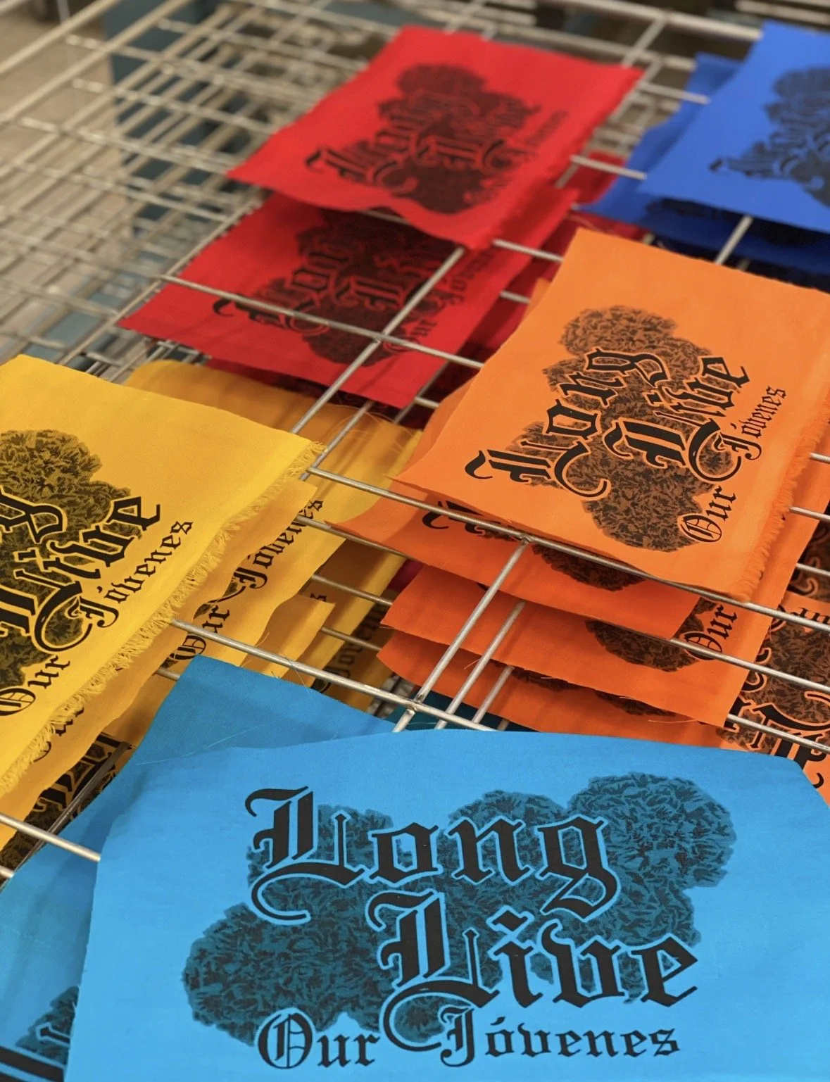 2023-jovenes flags.jpg