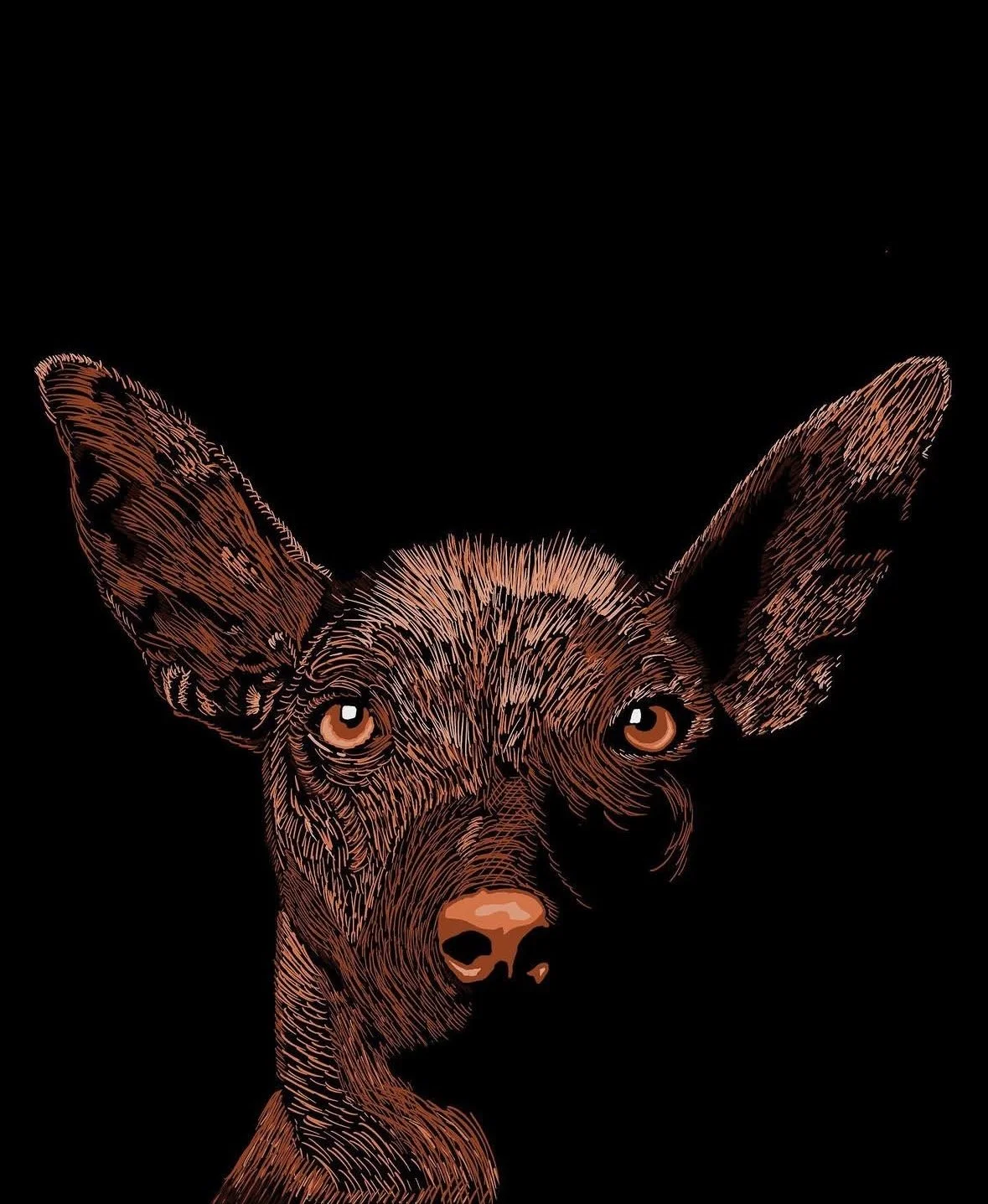 2020 - xolo.jpg
