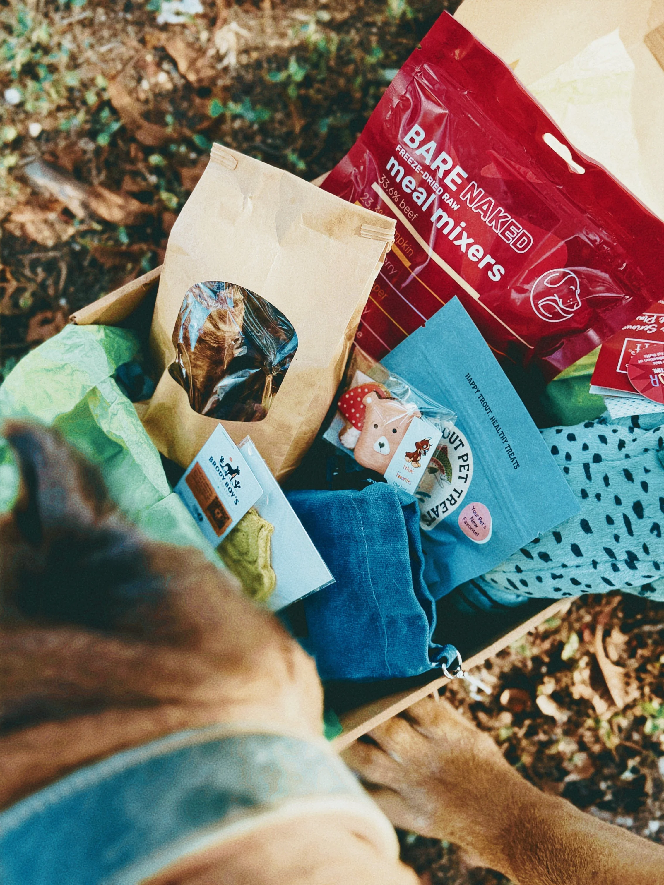 The Foraging Hound Box