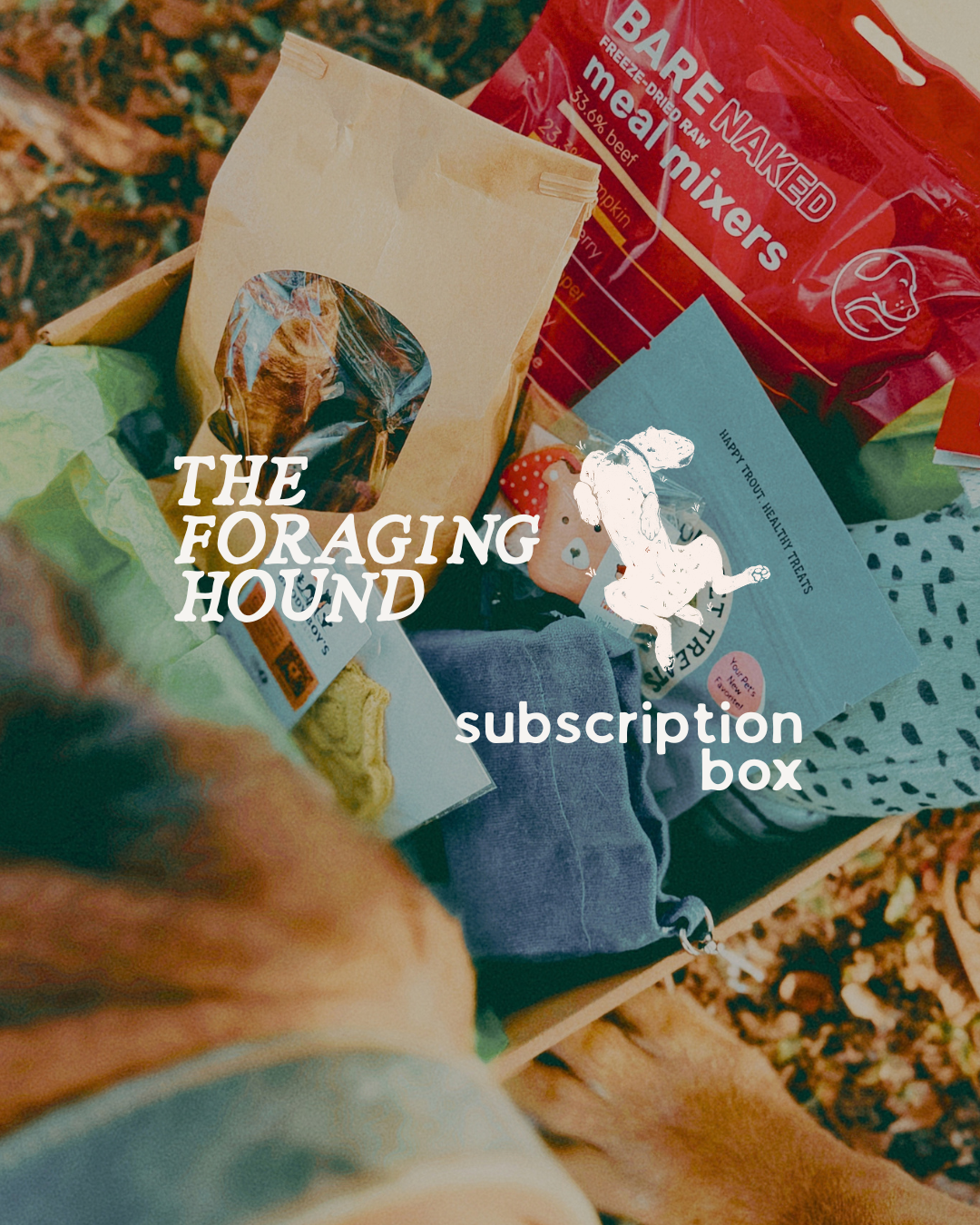 The Foraging Hound Box Subscription