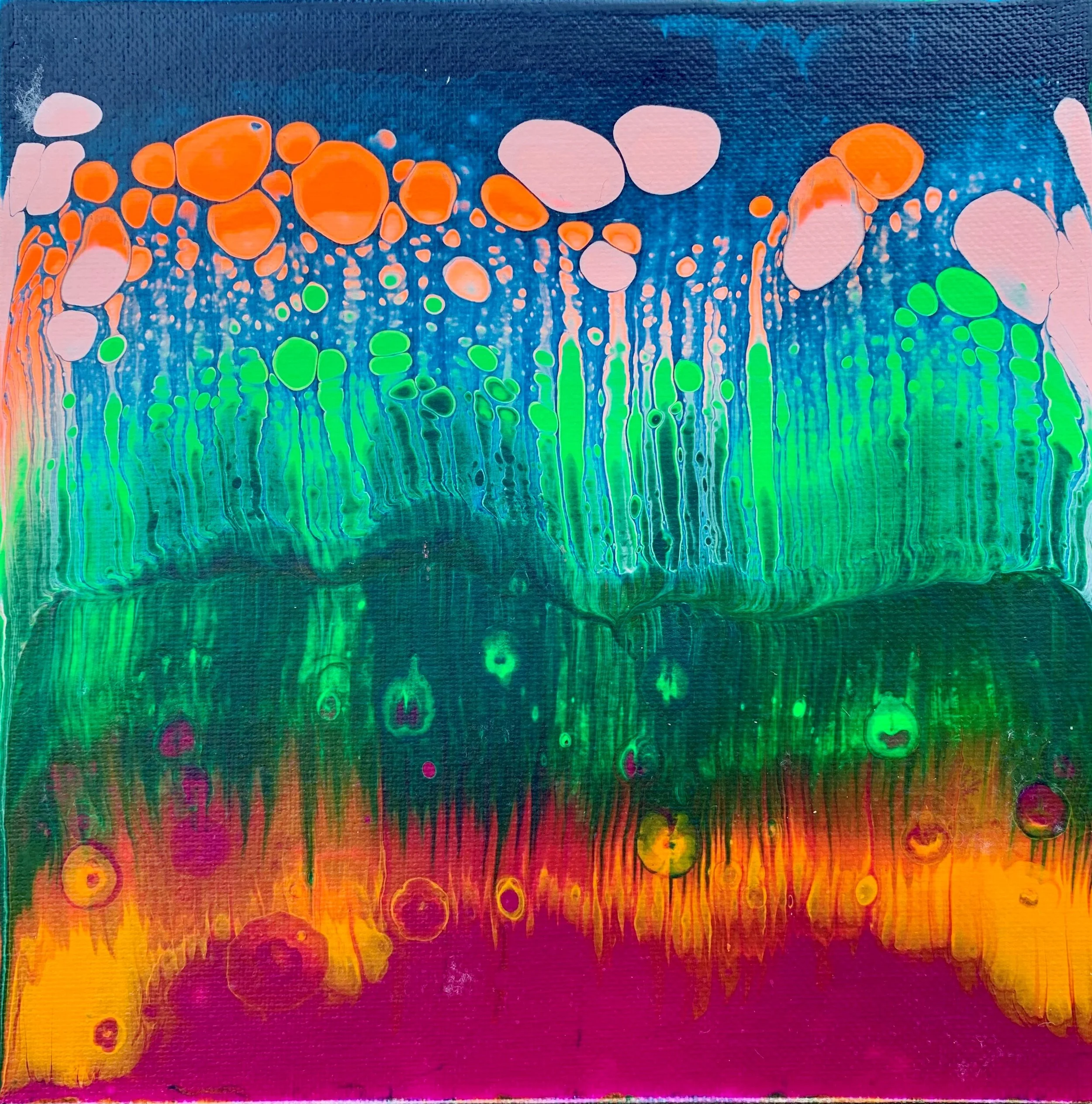 color riot.jpg