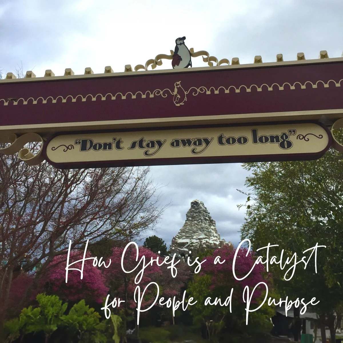 How Grief is a Catalyst for People and Purpose