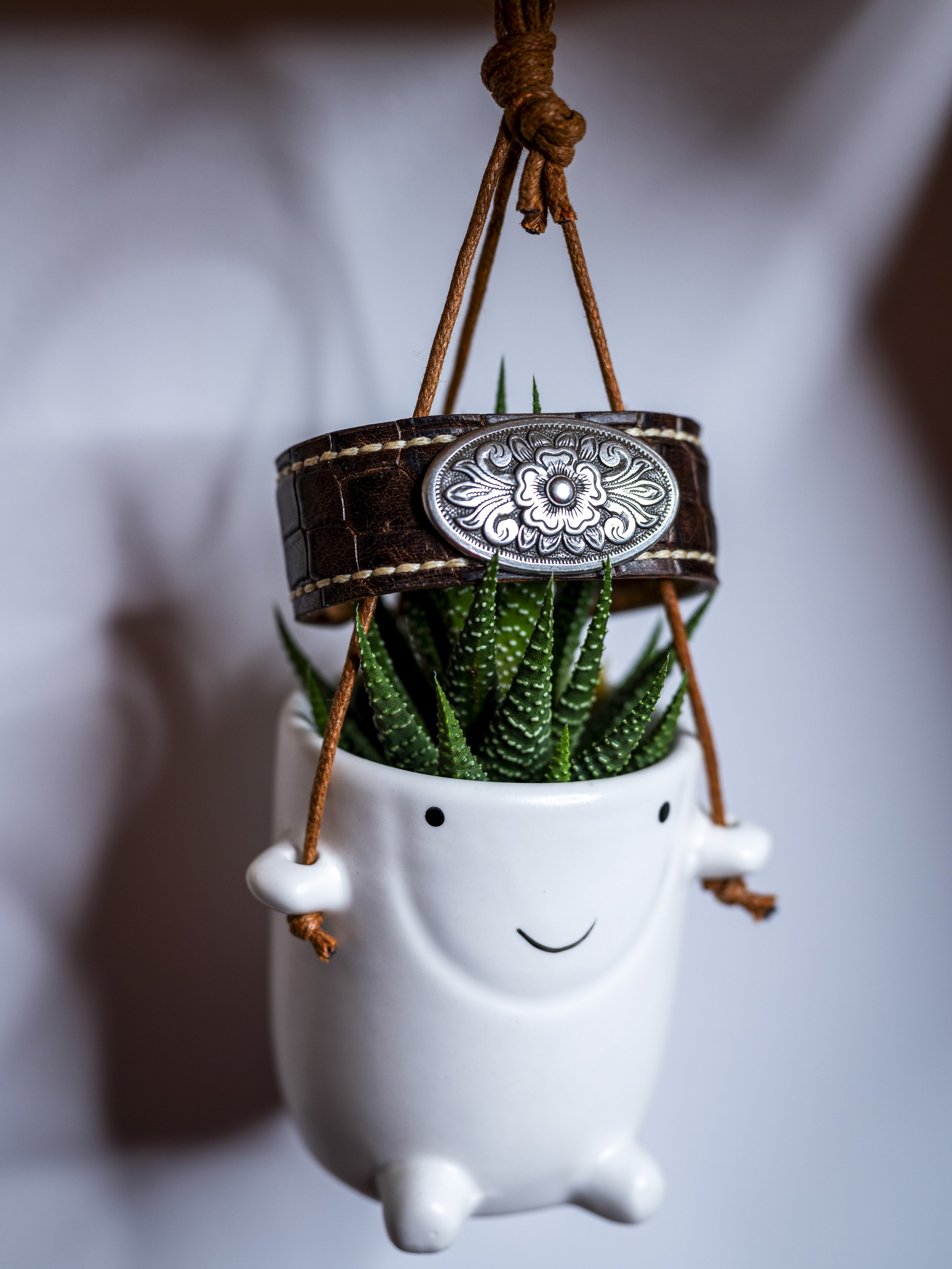 A white ceramic planter with a smiling face, holding a small potted succulent plant with long, pointy green leaves. The planter has a decorative black smile and a pink blush on each cheek.