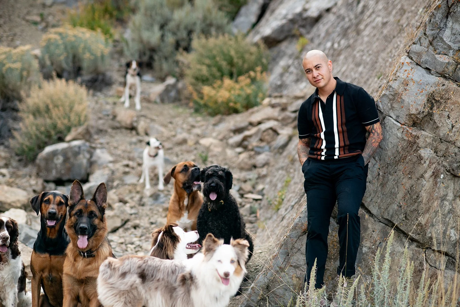 A man with tattoos wears a black striped shirt and black pants, standing against a rocky hillside, surrounded by a group of dogs including sheepdogs and other breeds, on a rocky outdoor trail with sparse vegetation.